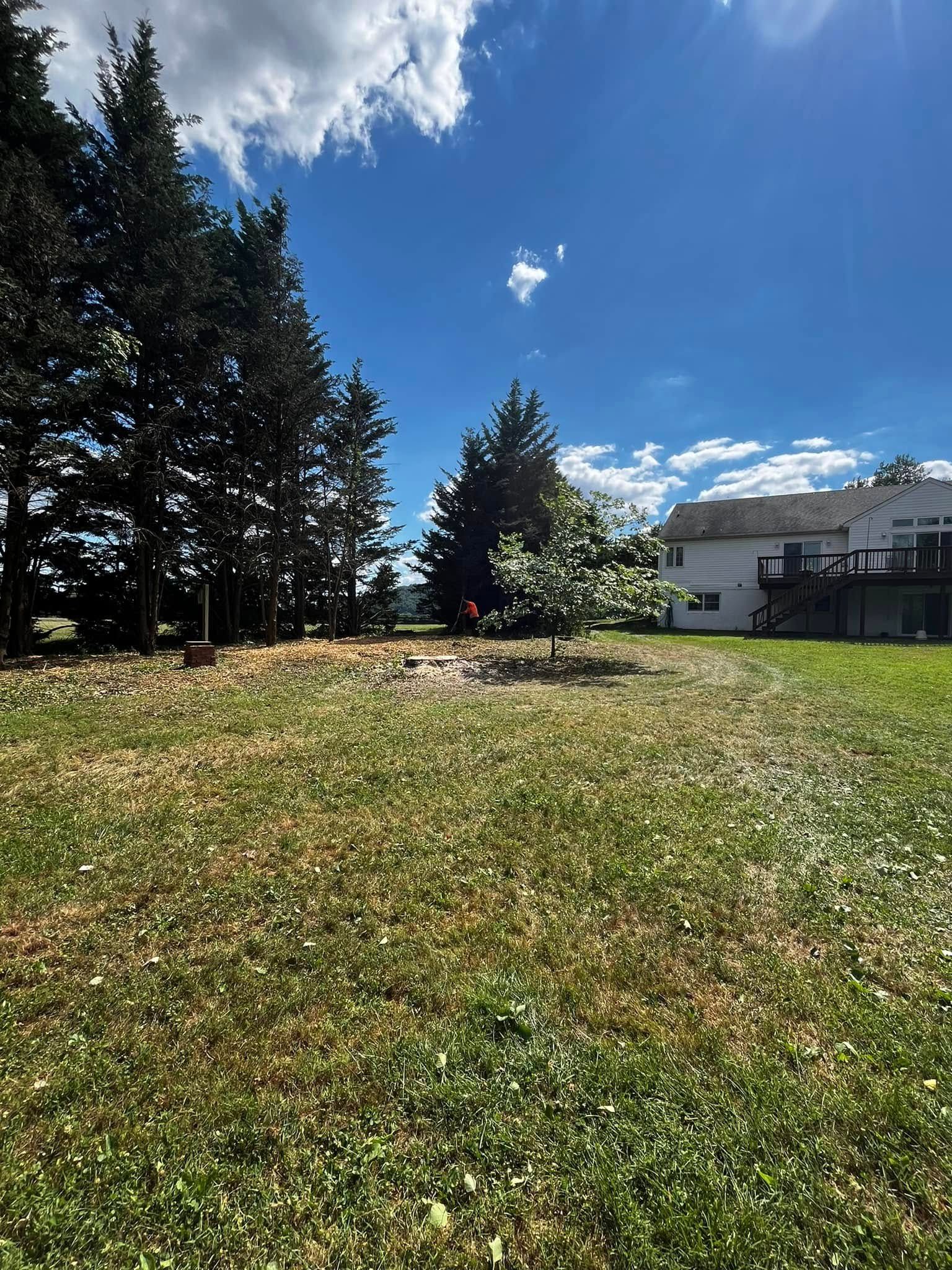 Twisted Timbers Tree Care, Shenandoah, Lexington VA, Buena vista VA, Charlottesville VA, Culpeper VA, Fredericksburg VA, Broadway VA, Grottoes VA, Massanetta Springs VA, Greenville VA, Luray, VA, Elkton, VA, Harrisonburg VA, Jollett VA, Stanley VA, Staunton VA, Comertown VA, Grove Hill VA, New Market VA, Waynesboro VA, Tenth Legion VA, Tree Removal, Tree Removal Company, Tree Removal Near Me, Emergency Tree Removal, Shenandoah Tree Removal, Waynesboro Tree Removal, Charlottesville Tree Removal, Harrisonburg Tree Removal, Lexington Tree Removal, Staunton Tree Removal, Tree Trimming, Shenandoah Tree Trimming, Waynesboro Tree Trimming, Charlottesville Tree Trimming, Harrisonburg Tree Trimming, Lexington Tree Trimming, Staunton Tree Trimming, Stump Grinding, Stump Grinding Near Me, Shenandoah Stump Grinding, Waynesboro Stump Grinding, Charlottesville Stump Grinding, Harrisonburg Stump Grinding, Lexington Stump Grinding, Staunton Stump Grinding, Lot Clearing, Lot Clearing Near Me, Shenandoah Lot Clearing, Waynesboro Lot Clearing, Charlottesville Lot Clearing, Harrisonburg Lot Clearing, Lexington Lot Clearing, Staunton Lot Clearing, Storm Damage Clean Up, Tree Risk Assessments, Tree Health Assessments