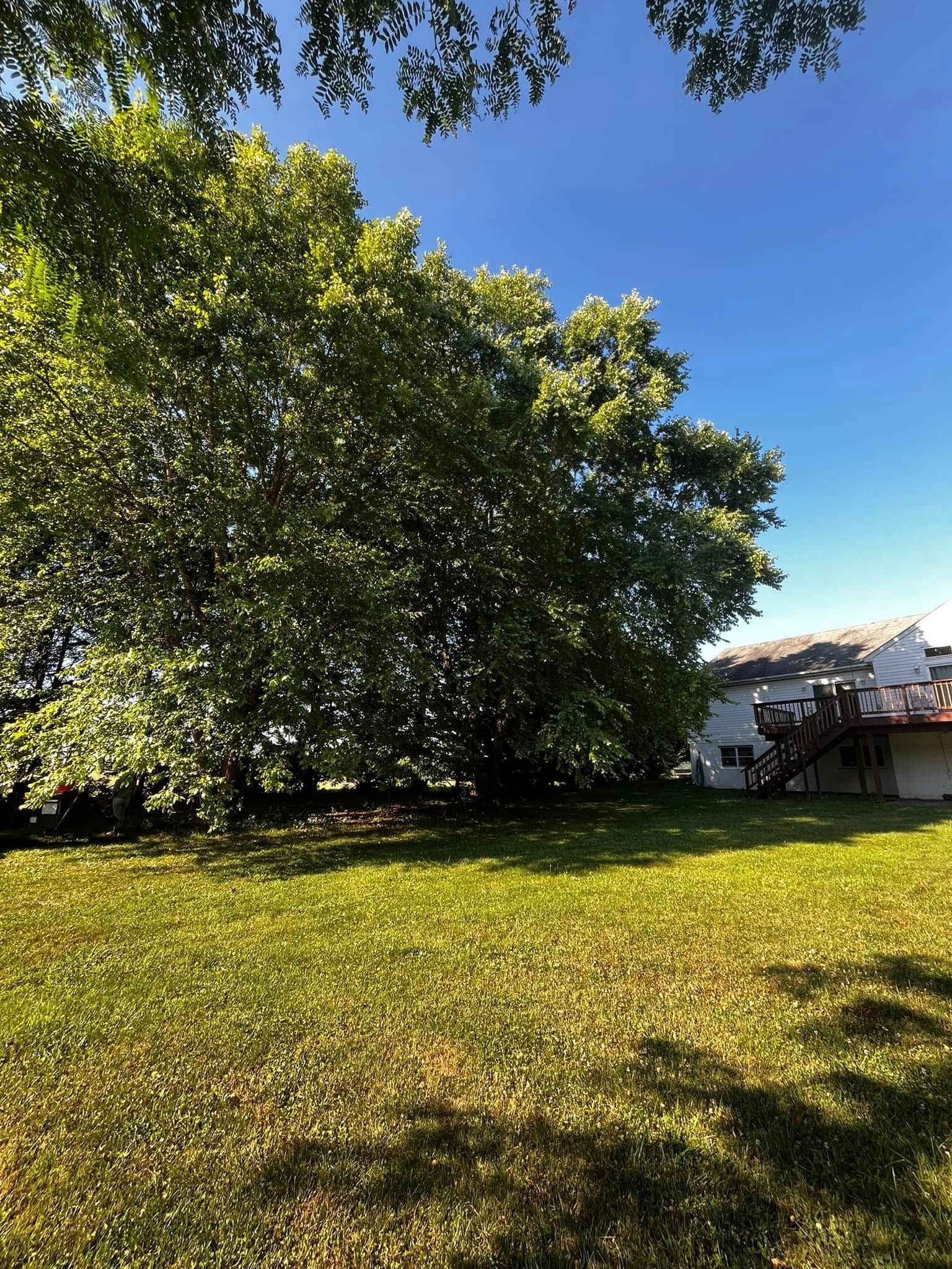 Twisted Timbers Tree Care, Shenandoah, Lexington VA, Buena vista VA, Charlottesville VA, Culpeper VA, Fredericksburg VA, Broadway VA, Grottoes VA, Massanetta Springs VA, Greenville VA, Luray, VA, Elkton, VA, Harrisonburg VA, Jollett VA, Stanley VA, Staunton VA, Comertown VA, Grove Hill VA, New Market VA, Waynesboro VA, Tenth Legion VA, Tree Removal, Tree Removal Company, Tree Removal Near Me, Emergency Tree Removal, Shenandoah Tree Removal, Waynesboro Tree Removal, Charlottesville Tree Removal, Harrisonburg Tree Removal, Lexington Tree Removal, Staunton Tree Removal, Tree Trimming, Shenandoah Tree Trimming, Waynesboro Tree Trimming, Charlottesville Tree Trimming, Harrisonburg Tree Trimming, Lexington Tree Trimming, Staunton Tree Trimming, Stump Grinding, Stump Grinding Near Me, Shenandoah Stump Grinding, Waynesboro Stump Grinding, Charlottesville Stump Grinding, Harrisonburg Stump Grinding, Lexington Stump Grinding, Staunton Stump Grinding, Lot Clearing, Lot Clearing Near Me, Shenandoah Lot Clearing, Waynesboro Lot Clearing, Charlottesville Lot Clearing, Harrisonburg Lot Clearing, Lexington Lot Clearing, Staunton Lot Clearing, Storm Damage Clean Up, Tree Risk Assessments, Tree Health Assessments