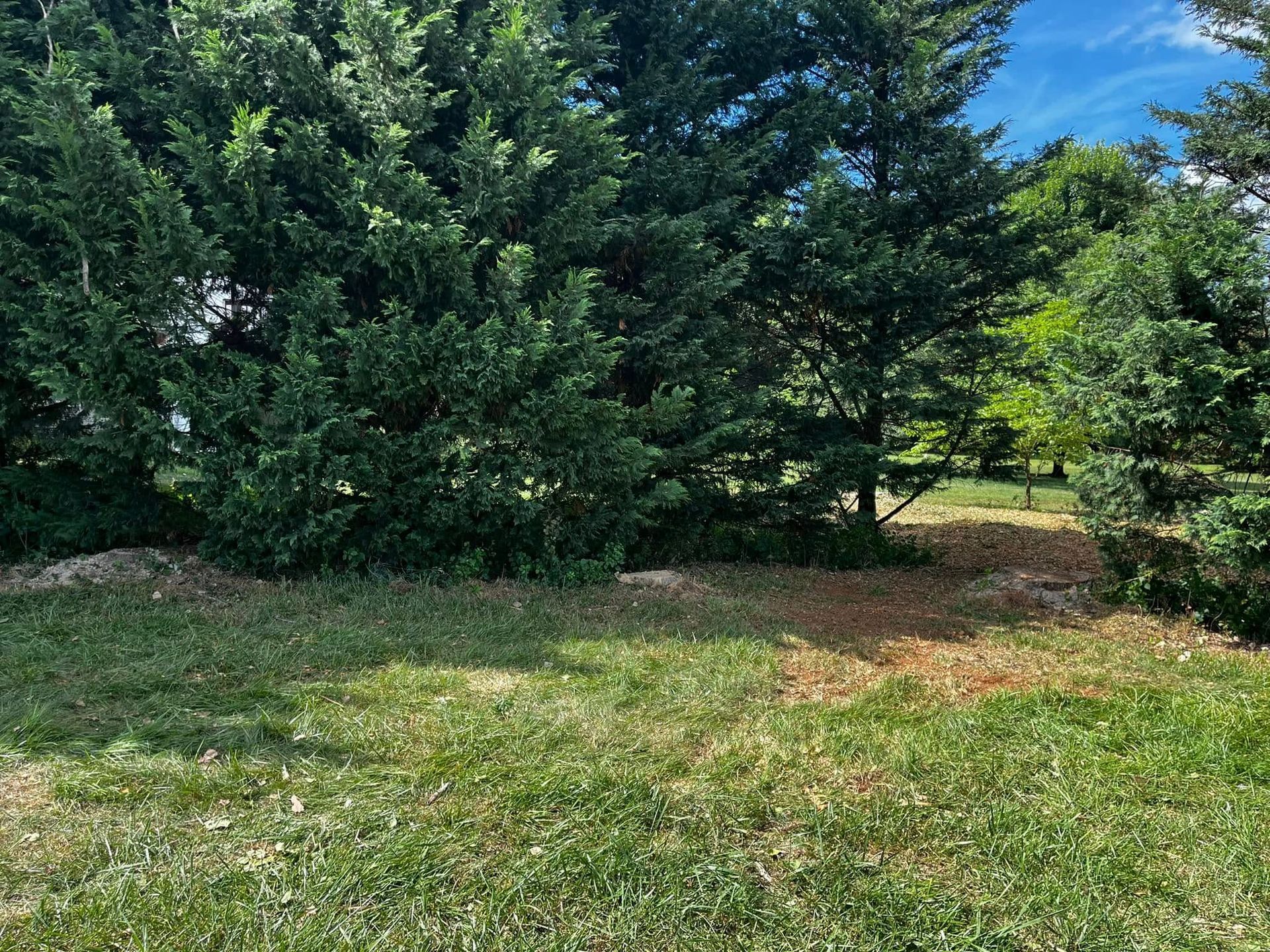 Twisted Timbers Tree Care, Shenandoah, Lexington VA, Buena vista VA, Charlottesville VA, Culpeper VA, Fredericksburg VA, Broadway VA, Grottoes VA, Massanetta Springs VA, Greenville VA, Luray, VA, Elkton, VA, Harrisonburg VA, Jollett VA, Stanley VA, Staunton VA, Comertown VA, Grove Hill VA, New Market VA, Waynesboro VA, Tenth Legion VA, Tree Removal, Tree Removal Company, Tree Removal Near Me, Emergency Tree Removal, Shenandoah Tree Removal, Waynesboro Tree Removal, Charlottesville Tree Removal, Harrisonburg Tree Removal, Lexington Tree Removal, Staunton Tree Removal, Tree Trimming, Shenandoah Tree Trimming, Waynesboro Tree Trimming, Charlottesville Tree Trimming, Harrisonburg Tree Trimming, Lexington Tree Trimming, Staunton Tree Trimming, Stump Grinding, Stump Grinding Near Me, Shenandoah Stump Grinding, Waynesboro Stump Grinding, Charlottesville Stump Grinding, Harrisonburg Stump Grinding, Lexington Stump Grinding, Staunton Stump Grinding, Lot Clearing, Lot Clearing Near Me, Shenandoah Lot Clearing, Waynesboro Lot Clearing, Charlottesville Lot Clearing, Harrisonburg Lot Clearing, Lexington Lot Clearing, Staunton Lot Clearing, Storm Damage Clean Up, Tree Risk Assessments, Tree Health Assessments