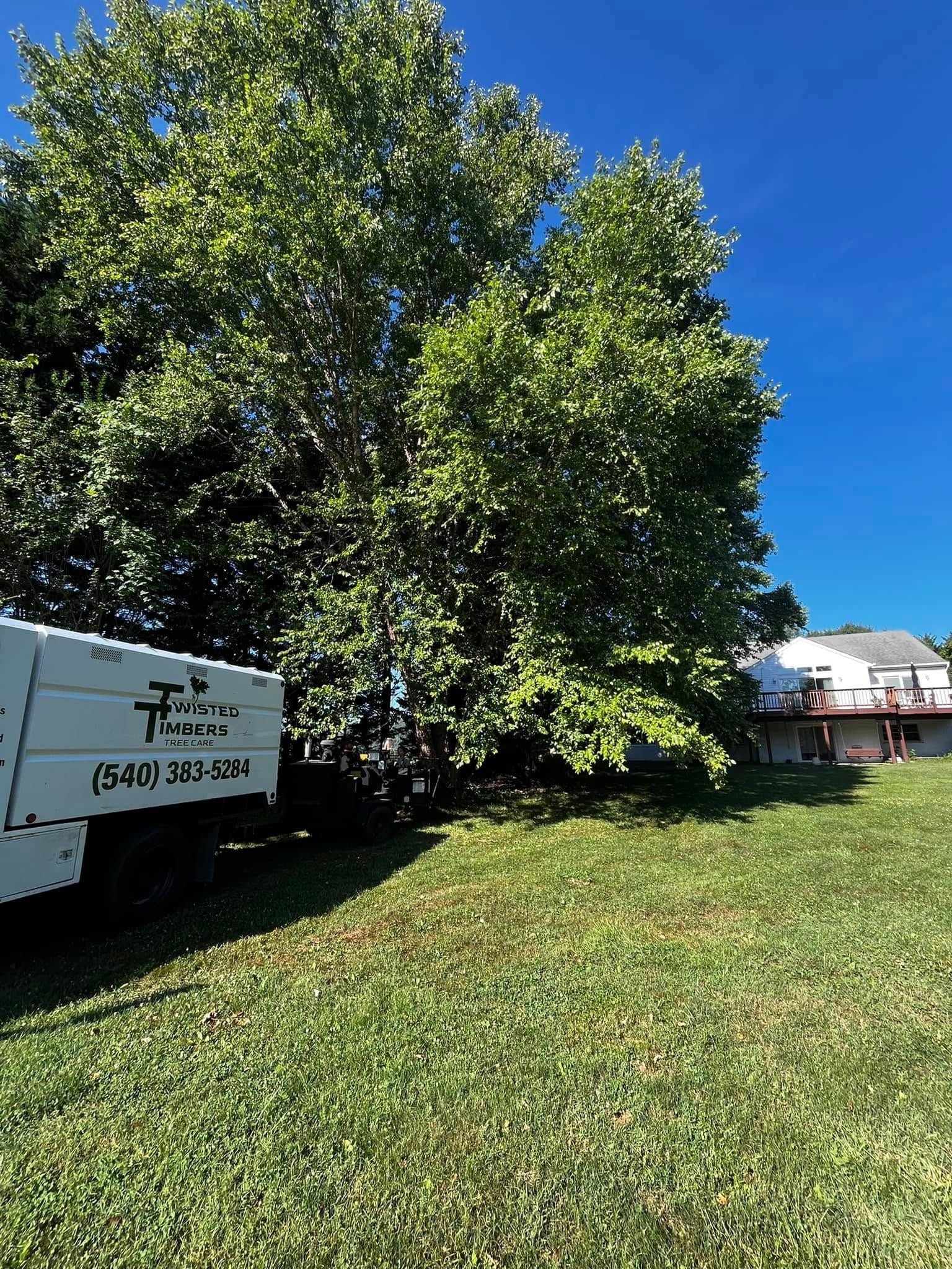 Twisted Timbers Tree Care, Shenandoah, Lexington VA, Buena vista VA, Charlottesville VA, Culpeper VA, Fredericksburg VA, Broadway VA, Grottoes VA, Massanetta Springs VA, Greenville VA, Luray, VA, Elkton, VA, Harrisonburg VA, Jollett VA, Stanley VA, Staunton VA, Comertown VA, Grove Hill VA, New Market VA, Waynesboro VA, Tenth Legion VA, Tree Removal, Tree Removal Company, Tree Removal Near Me, Emergency Tree Removal, Shenandoah Tree Removal, Waynesboro Tree Removal, Charlottesville Tree Removal, Harrisonburg Tree Removal, Lexington Tree Removal, Staunton Tree Removal, Tree Trimming, Shenandoah Tree Trimming, Waynesboro Tree Trimming, Charlottesville Tree Trimming, Harrisonburg Tree Trimming, Lexington Tree Trimming, Staunton Tree Trimming, Stump Grinding, Stump Grinding Near Me, Shenandoah Stump Grinding, Waynesboro Stump Grinding, Charlottesville Stump Grinding, Harrisonburg Stump Grinding, Lexington Stump Grinding, Staunton Stump Grinding, Lot Clearing, Lot Clearing Near Me, Shenandoah Lot Clearing, Waynesboro Lot Clearing, Charlottesville Lot Clearing, Harrisonburg Lot Clearing, Lexington Lot Clearing, Staunton Lot Clearing, Storm Damage Clean Up, Tree Risk Assessments, Tree Health Assessments