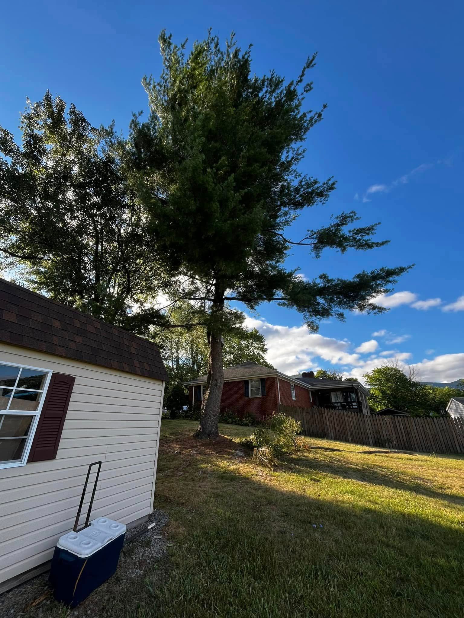 Twisted Timbers Tree Care, Shenandoah, Lexington VA, Buena vista VA, Charlottesville VA, Culpeper VA, Fredericksburg VA, Broadway VA, Grottoes VA, Massanetta Springs VA, Greenville VA, Luray, VA, Elkton, VA, Harrisonburg VA, Jollett VA, Stanley VA, Staunton VA, Comertown VA, Grove Hill VA, New Market VA, Waynesboro VA, Tenth Legion VA, Tree Removal, Tree Removal Company, Tree Removal Near Me, Emergency Tree Removal, Shenandoah Tree Removal, Waynesboro Tree Removal, Charlottesville Tree Removal, Harrisonburg Tree Removal, Lexington Tree Removal, Staunton Tree Removal, Tree Trimming, Shenandoah Tree Trimming, Waynesboro Tree Trimming, Charlottesville Tree Trimming, Harrisonburg Tree Trimming, Lexington Tree Trimming, Staunton Tree Trimming, Stump Grinding, Stump Grinding Near Me, Shenandoah Stump Grinding, Waynesboro Stump Grinding, Charlottesville Stump Grinding, Harrisonburg Stump Grinding, Lexington Stump Grinding, Staunton Stump Grinding, Lot Clearing, Lot Clearing Near Me, Shenandoah Lot Clearing, Waynesboro Lot Clearing, Charlottesville Lot Clearing, Harrisonburg Lot Clearing, Lexington Lot Clearing, Staunton Lot Clearing, Storm Damage Clean Up, Tree Risk Assessments, Tree Health Assessments