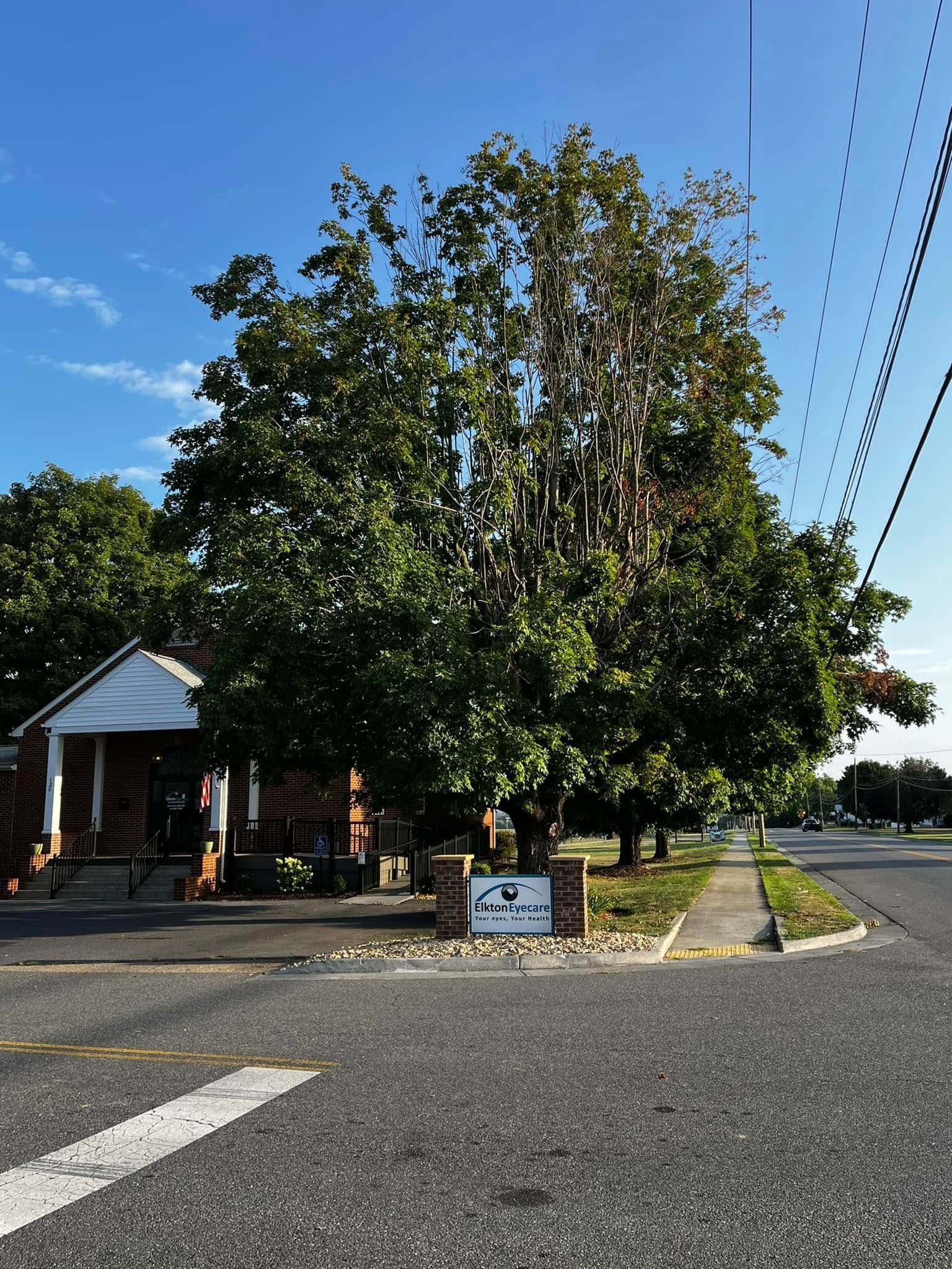 Twisted Timbers Tree Care, Shenandoah, Lexington VA, Buena vista VA, Charlottesville VA, Culpeper VA, Fredericksburg VA, Broadway VA, Grottoes VA, Massanetta Springs VA, Greenville VA, Luray, VA, Elkton, VA, Harrisonburg VA, Jollett VA, Stanley VA, Staunton VA, Comertown VA, Grove Hill VA, New Market VA, Waynesboro VA, Tenth Legion VA, Tree Removal, Tree Removal Company, Tree Removal Near Me, Emergency Tree Removal, Shenandoah Tree Removal, Waynesboro Tree Removal, Charlottesville Tree Removal, Harrisonburg Tree Removal, Lexington Tree Removal, Staunton Tree Removal, Tree Trimming, Shenandoah Tree Trimming, Waynesboro Tree Trimming, Charlottesville Tree Trimming, Harrisonburg Tree Trimming, Lexington Tree Trimming, Staunton Tree Trimming, Stump Grinding, Stump Grinding Near Me, Shenandoah Stump Grinding, Waynesboro Stump Grinding, Charlottesville Stump Grinding, Harrisonburg Stump Grinding, Lexington Stump Grinding, Staunton Stump Grinding, Lot Clearing, Lot Clearing Near Me, Shenandoah Lot Clearing, Waynesboro Lot Clearing, Charlottesville Lot Clearing, Harrisonburg Lot Clearing, Lexington Lot Clearing, Staunton Lot Clearing, Storm Damage Clean Up, Tree Risk Assessments, Tree Health Assessments