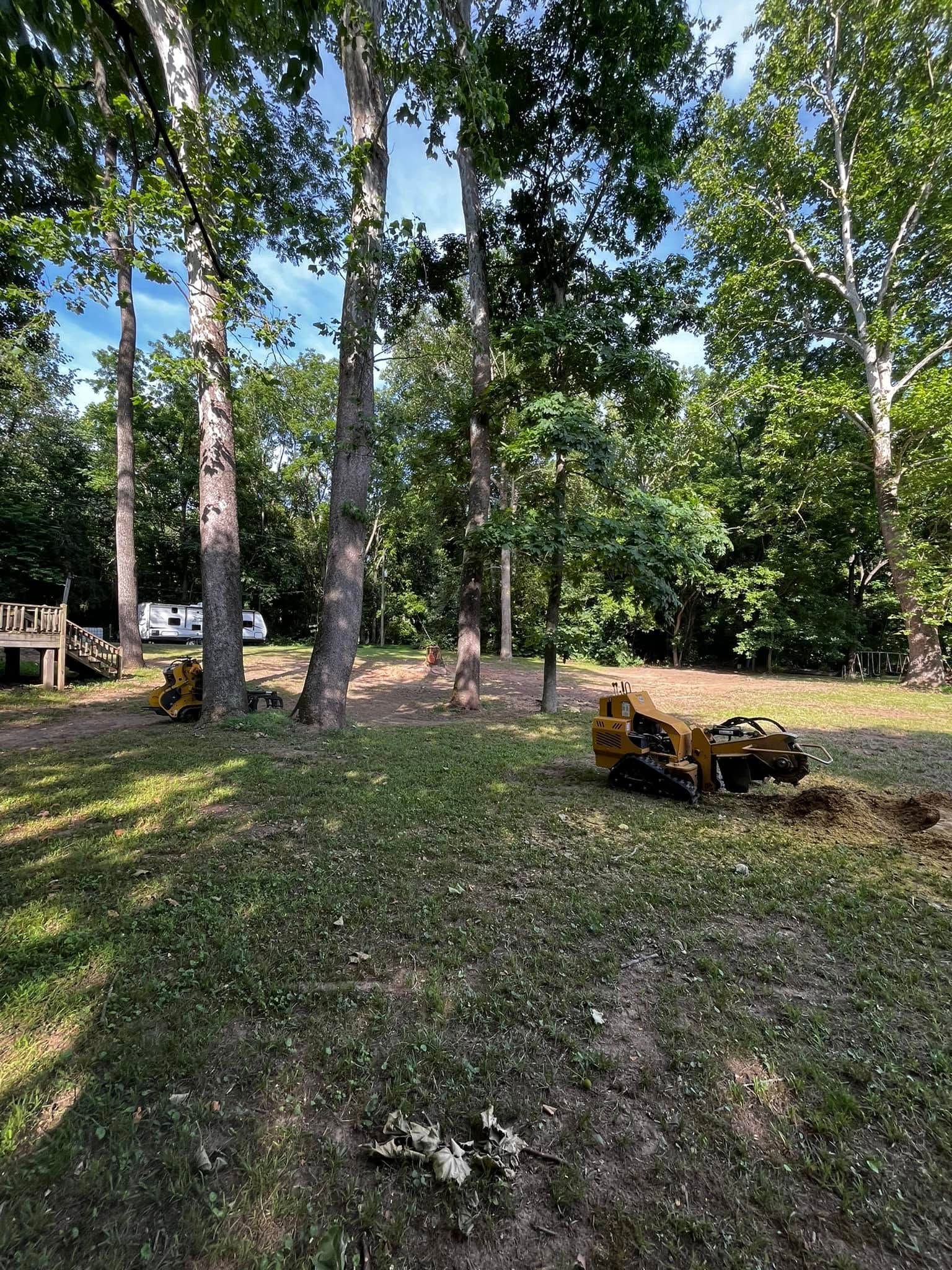 Twisted Timbers Tree Care, Shenandoah, Lexington VA, Buena vista VA, Charlottesville VA, Culpeper VA, Fredericksburg VA, Broadway VA, Grottoes VA, Massanetta Springs VA, Greenville VA, Luray, VA, Elkton, VA, Harrisonburg VA, Jollett VA, Stanley VA, Staunton VA, Comertown VA, Grove Hill VA, New Market VA, Waynesboro VA, Tenth Legion VA, Tree Removal, Tree Removal Company, Tree Removal Near Me, Emergency Tree Removal, Shenandoah Tree Removal, Waynesboro Tree Removal, Charlottesville Tree Removal, Harrisonburg Tree Removal, Lexington Tree Removal, Staunton Tree Removal, Tree Trimming, Shenandoah Tree Trimming, Waynesboro Tree Trimming, Charlottesville Tree Trimming, Harrisonburg Tree Trimming, Lexington Tree Trimming, Staunton Tree Trimming, Stump Grinding, Stump Grinding Near Me, Shenandoah Stump Grinding, Waynesboro Stump Grinding, Charlottesville Stump Grinding, Harrisonburg Stump Grinding, Lexington Stump Grinding, Staunton Stump Grinding, Lot Clearing, Lot Clearing Near Me, Shenandoah Lot Clearing, Waynesboro Lot Clearing, Charlottesville Lot Clearing, Harrisonburg Lot Clearing, Lexington Lot Clearing, Staunton Lot Clearing, Storm Damage Clean Up, Tree Risk Assessments, Tree Health Assessments