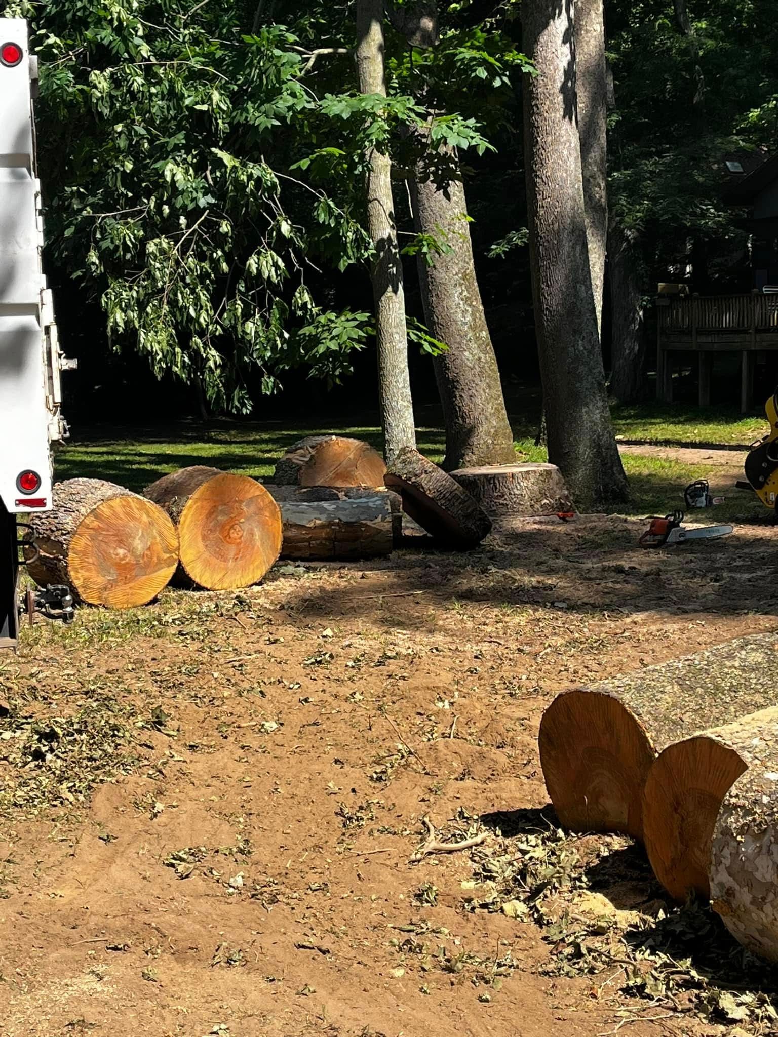 Twisted Timbers Tree Care, Shenandoah, Lexington VA, Buena vista VA, Charlottesville VA, Culpeper VA, Fredericksburg VA, Broadway VA, Grottoes VA, Massanetta Springs VA, Greenville VA, Luray, VA, Elkton, VA, Harrisonburg VA, Jollett VA, Stanley VA, Staunton VA, Comertown VA, Grove Hill VA, New Market VA, Waynesboro VA, Tenth Legion VA, Tree Removal, Tree Removal Company, Tree Removal Near Me, Emergency Tree Removal, Shenandoah Tree Removal, Waynesboro Tree Removal, Charlottesville Tree Removal, Harrisonburg Tree Removal, Lexington Tree Removal, Staunton Tree Removal, Tree Trimming, Shenandoah Tree Trimming, Waynesboro Tree Trimming, Charlottesville Tree Trimming, Harrisonburg Tree Trimming, Lexington Tree Trimming, Staunton Tree Trimming, Stump Grinding, Stump Grinding Near Me, Shenandoah Stump Grinding, Waynesboro Stump Grinding, Charlottesville Stump Grinding, Harrisonburg Stump Grinding, Lexington Stump Grinding, Staunton Stump Grinding, Lot Clearing, Lot Clearing Near Me, Shenandoah Lot Clearing, Waynesboro Lot Clearing, Charlottesville Lot Clearing, Harrisonburg Lot Clearing, Lexington Lot Clearing, Staunton Lot Clearing, Storm Damage Clean Up, Tree Risk Assessments, Tree Health Assessments