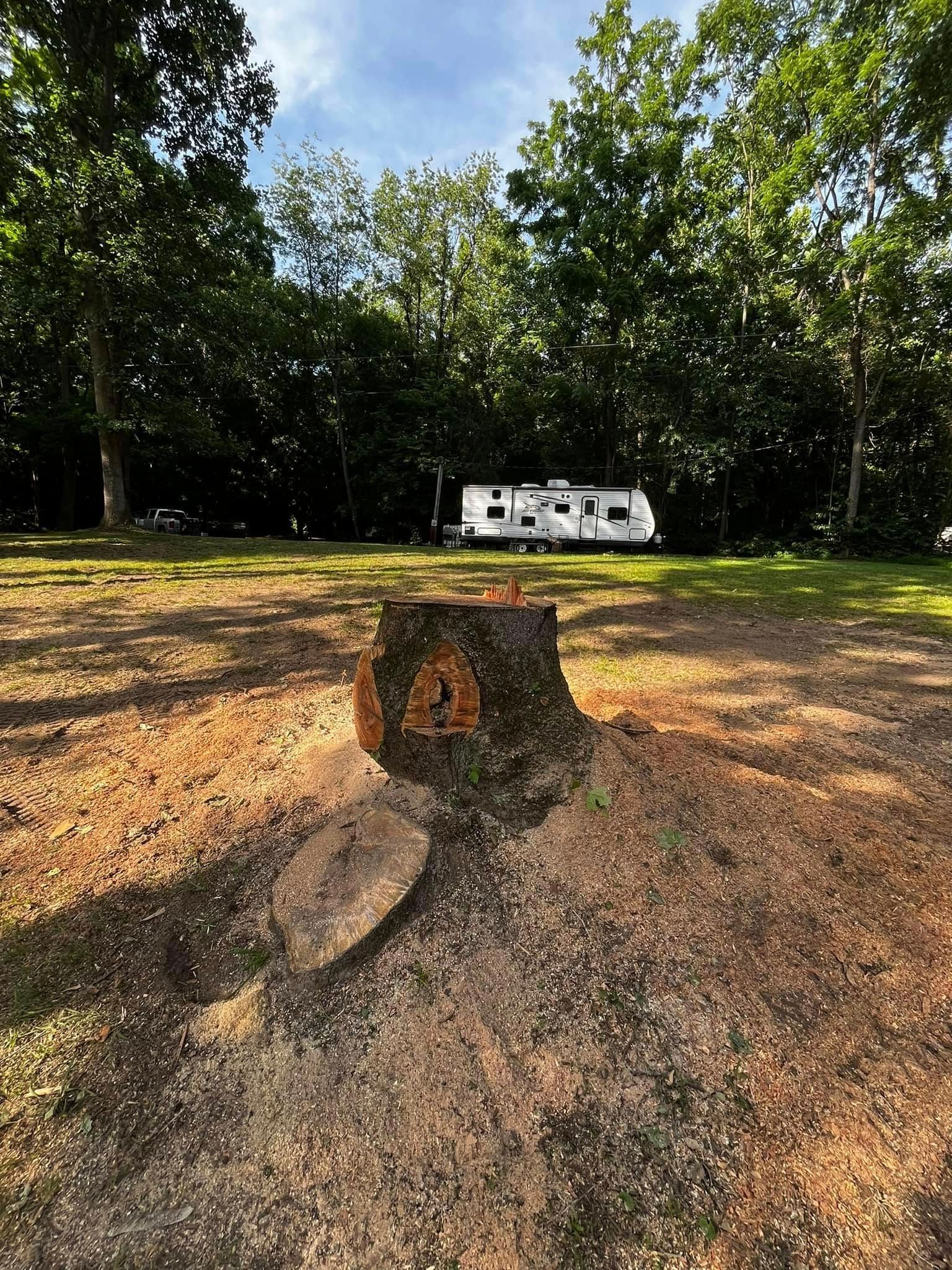 Twisted Timbers Tree Care, Shenandoah, Lexington VA, Buena vista VA, Charlottesville VA, Culpeper VA, Fredericksburg VA, Broadway VA, Grottoes VA, Massanetta Springs VA, Greenville VA, Luray, VA, Elkton, VA, Harrisonburg VA, Jollett VA, Stanley VA, Staunton VA, Comertown VA, Grove Hill VA, New Market VA, Waynesboro VA, Tenth Legion VA, Tree Removal, Tree Removal Company, Tree Removal Near Me, Emergency Tree Removal, Shenandoah Tree Removal, Waynesboro Tree Removal, Charlottesville Tree Removal, Harrisonburg Tree Removal, Lexington Tree Removal, Staunton Tree Removal, Tree Trimming, Shenandoah Tree Trimming, Waynesboro Tree Trimming, Charlottesville Tree Trimming, Harrisonburg Tree Trimming, Lexington Tree Trimming, Staunton Tree Trimming, Stump Grinding, Stump Grinding Near Me, Shenandoah Stump Grinding, Waynesboro Stump Grinding, Charlottesville Stump Grinding, Harrisonburg Stump Grinding, Lexington Stump Grinding, Staunton Stump Grinding, Lot Clearing, Lot Clearing Near Me, Shenandoah Lot Clearing, Waynesboro Lot Clearing, Charlottesville Lot Clearing, Harrisonburg Lot Clearing, Lexington Lot Clearing, Staunton Lot Clearing, Storm Damage Clean Up, Tree Risk Assessments, Tree Health Assessments