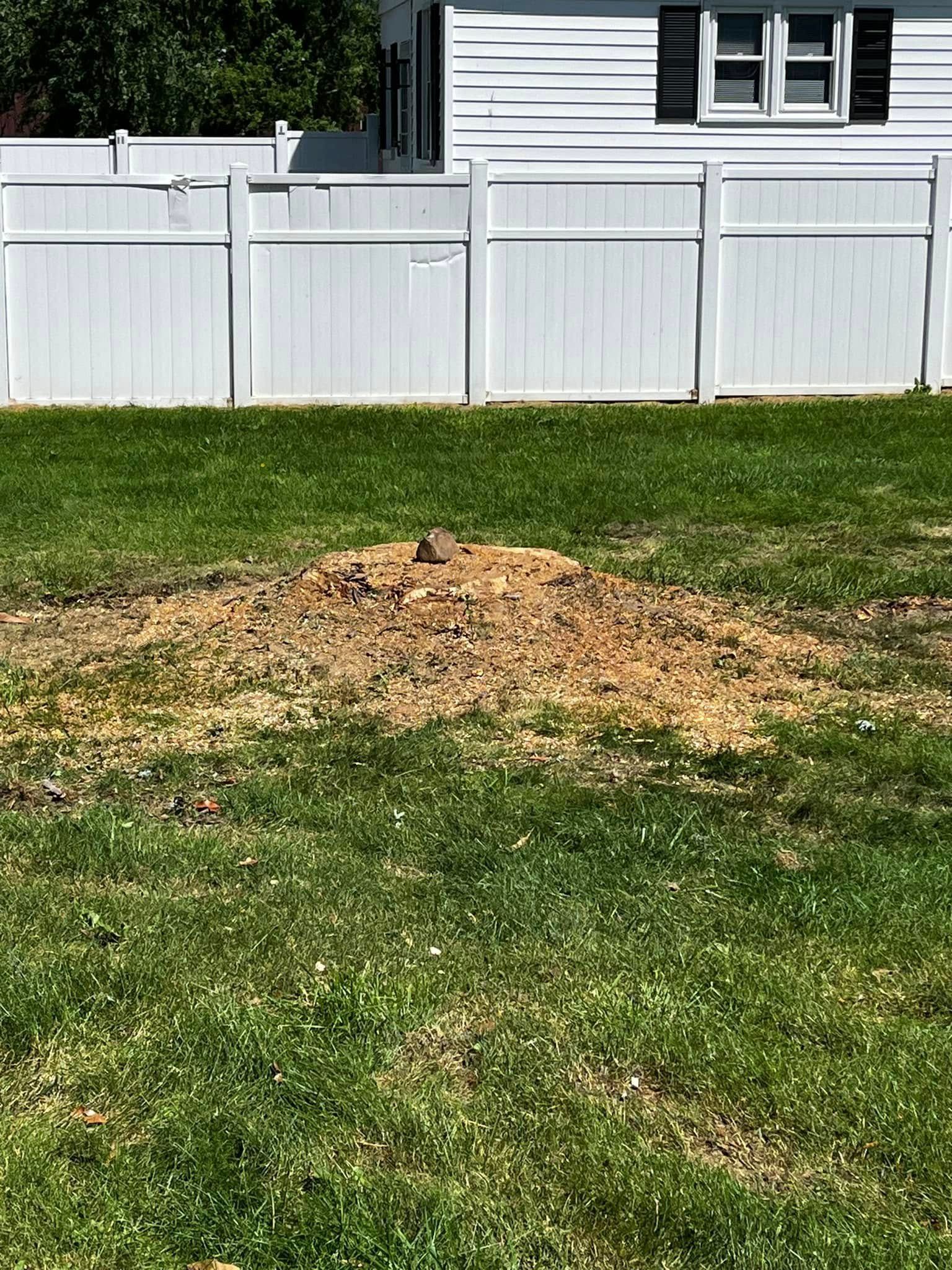 Twisted Timbers Tree Care, Shenandoah, Lexington VA, Buena vista VA, Charlottesville VA, Culpeper VA, Fredericksburg VA, Broadway VA, Grottoes VA, Massanetta Springs VA, Greenville VA, Luray, VA, Elkton, VA, Harrisonburg VA, Jollett VA, Stanley VA, Staunton VA, Comertown VA, Grove Hill VA, New Market VA, Waynesboro VA, Tenth Legion VA, Tree Removal, Tree Removal Company, Tree Removal Near Me, Emergency Tree Removal, Shenandoah Tree Removal, Waynesboro Tree Removal, Charlottesville Tree Removal, Harrisonburg Tree Removal, Lexington Tree Removal, Staunton Tree Removal, Tree Trimming, Shenandoah Tree Trimming, Waynesboro Tree Trimming, Charlottesville Tree Trimming, Harrisonburg Tree Trimming, Lexington Tree Trimming, Staunton Tree Trimming, Stump Grinding, Stump Grinding Near Me, Shenandoah Stump Grinding, Waynesboro Stump Grinding, Charlottesville Stump Grinding, Harrisonburg Stump Grinding, Lexington Stump Grinding, Staunton Stump Grinding, Lot Clearing, Lot Clearing Near Me, Shenandoah Lot Clearing, Waynesboro Lot Clearing, Charlottesville Lot Clearing, Harrisonburg Lot Clearing, Lexington Lot Clearing, Staunton Lot Clearing, Storm Damage Clean Up, Tree Risk Assessments, Tree Health Assessments