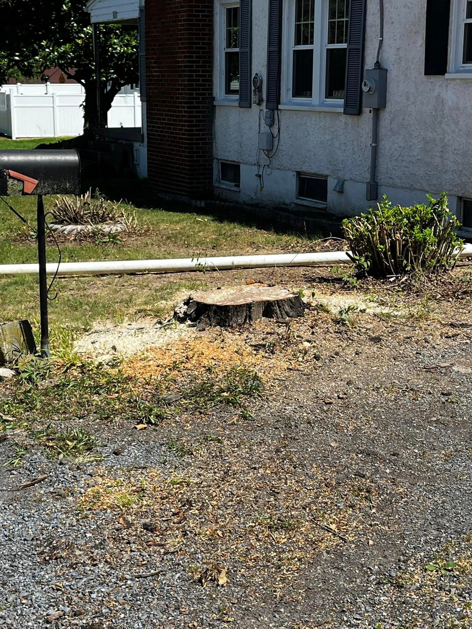 Twisted Timbers Tree Care, Shenandoah, Lexington VA, Buena vista VA, Charlottesville VA, Culpeper VA, Fredericksburg VA, Broadway VA, Grottoes VA, Massanetta Springs VA, Greenville VA, Luray, VA, Elkton, VA, Harrisonburg VA, Jollett VA, Stanley VA, Staunton VA, Comertown VA, Grove Hill VA, New Market VA, Waynesboro VA, Tenth Legion VA, Tree Removal, Tree Removal Company, Tree Removal Near Me, Emergency Tree Removal, Shenandoah Tree Removal, Waynesboro Tree Removal, Charlottesville Tree Removal, Harrisonburg Tree Removal, Lexington Tree Removal, Staunton Tree Removal, Tree Trimming, Shenandoah Tree Trimming, Waynesboro Tree Trimming, Charlottesville Tree Trimming, Harrisonburg Tree Trimming, Lexington Tree Trimming, Staunton Tree Trimming, Stump Grinding, Stump Grinding Near Me, Shenandoah Stump Grinding, Waynesboro Stump Grinding, Charlottesville Stump Grinding, Harrisonburg Stump Grinding, Lexington Stump Grinding, Staunton Stump Grinding, Lot Clearing, Lot Clearing Near Me, Shenandoah Lot Clearing, Waynesboro Lot Clearing, Charlottesville Lot Clearing, Harrisonburg Lot Clearing, Lexington Lot Clearing, Staunton Lot Clearing, Storm Damage Clean Up, Tree Risk Assessments, Tree Health Assessments