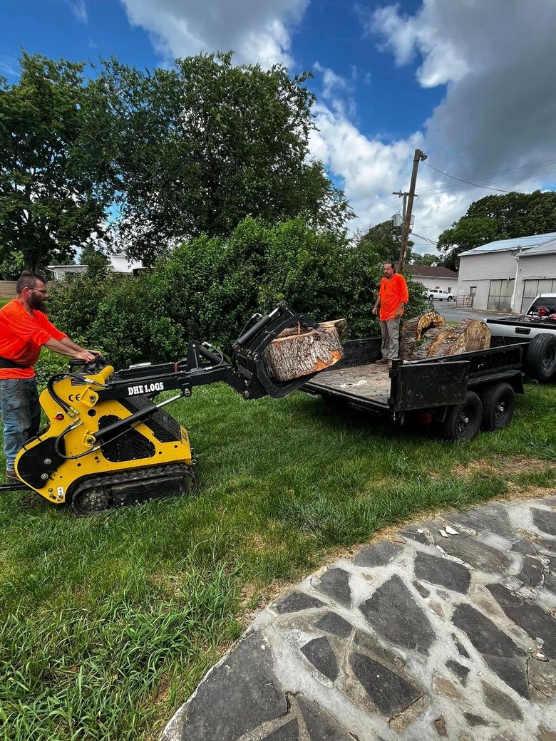 Twisted Timbers Tree Care, Shenandoah, Lexington VA, Buena vista VA, Charlottesville VA, Culpeper VA, Fredericksburg VA, Broadway VA, Grottoes VA, Massanetta Springs VA, Greenville VA, Luray, VA, Elkton, VA, Harrisonburg VA, Jollett VA, Stanley VA, Staunton VA, Comertown VA, Grove Hill VA, New Market VA, Waynesboro VA, Tenth Legion VA, Tree Removal, Tree Removal Company, Tree Removal Near Me, Emergency Tree Removal, Shenandoah Tree Removal, Waynesboro Tree Removal, Charlottesville Tree Removal, Harrisonburg Tree Removal, Lexington Tree Removal, Staunton Tree Removal, Tree Trimming, Shenandoah Tree Trimming, Waynesboro Tree Trimming, Charlottesville Tree Trimming, Harrisonburg Tree Trimming, Lexington Tree Trimming, Staunton Tree Trimming, Stump Grinding, Stump Grinding Near Me, Shenandoah Stump Grinding, Waynesboro Stump Grinding, Charlottesville Stump Grinding, Harrisonburg Stump Grinding, Lexington Stump Grinding, Staunton Stump Grinding, Lot Clearing, Lot Clearing Near Me, Shenandoah Lot Clearing, Waynesboro Lot Clearing, Charlottesville Lot Clearing, Harrisonburg Lot Clearing, Lexington Lot Clearing, Staunton Lot Clearing, Storm Damage Clean Up, Tree Risk Assessments, Tree Health Assessments