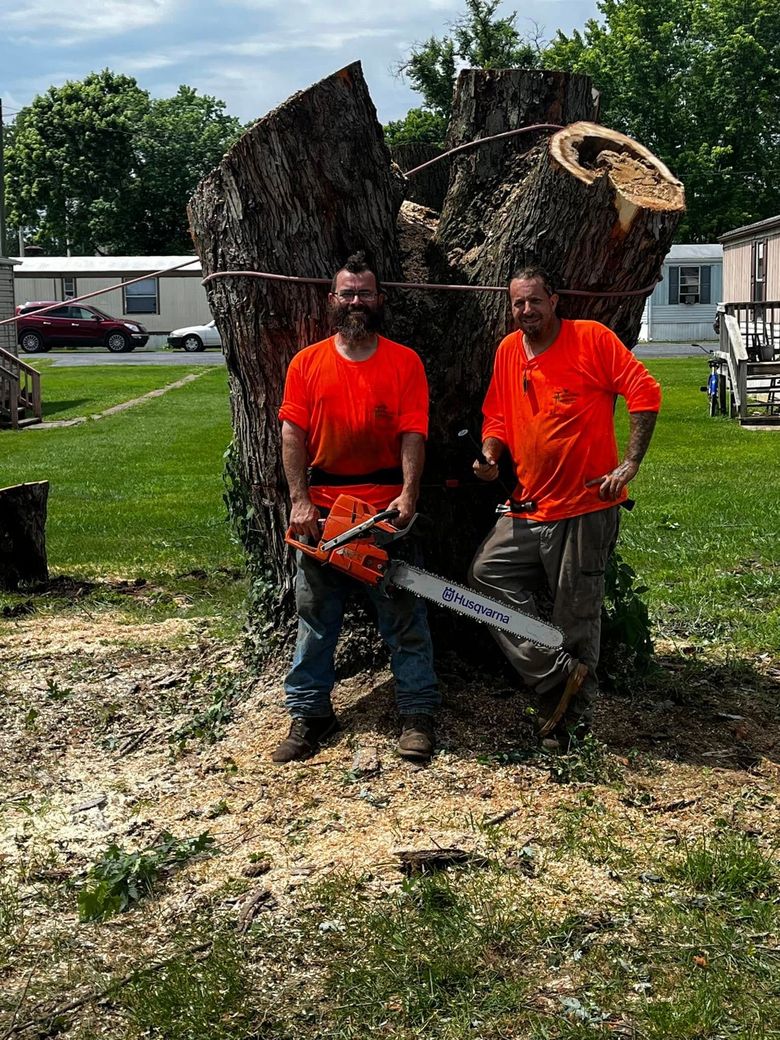 Twisted Timbers Tree Care, Shenandoah, Lexington VA, Buena vista VA, Charlottesville VA, Culpeper VA, Fredericksburg VA, Broadway VA, Grottoes VA, Massanetta Springs VA, Greenville VA, Luray, VA, Elkton, VA, Harrisonburg VA, Jollett VA, Stanley VA, Staunton VA, Comertown VA, Grove Hill VA, New Market VA, Waynesboro VA, Tenth Legion VA, Tree Removal, Tree Removal Company, Tree Removal Near Me, Emergency Tree Removal, Shenandoah Tree Removal, Waynesboro Tree Removal, Charlottesville Tree Removal, Harrisonburg Tree Removal, Lexington Tree Removal, Staunton Tree Removal, Tree Trimming, Shenandoah Tree Trimming, Waynesboro Tree Trimming, Charlottesville Tree Trimming, Harrisonburg Tree Trimming, Lexington Tree Trimming, Staunton Tree Trimming, Stump Grinding, Stump Grinding Near Me, Shenandoah Stump Grinding, Waynesboro Stump Grinding, Charlottesville Stump Grinding, Harrisonburg Stump Grinding, Lexington Stump Grinding, Staunton Stump Grinding, Lot Clearing, Lot Clearing Near Me, Shenandoah Lot Clearing, Waynesboro Lot Clearing, Charlottesville Lot Clearing, Harrisonburg Lot Clearing, Lexington Lot Clearing, Staunton Lot Clearing, Storm Damage Clean Up, Tree Risk Assessments, Tree Health Assessments