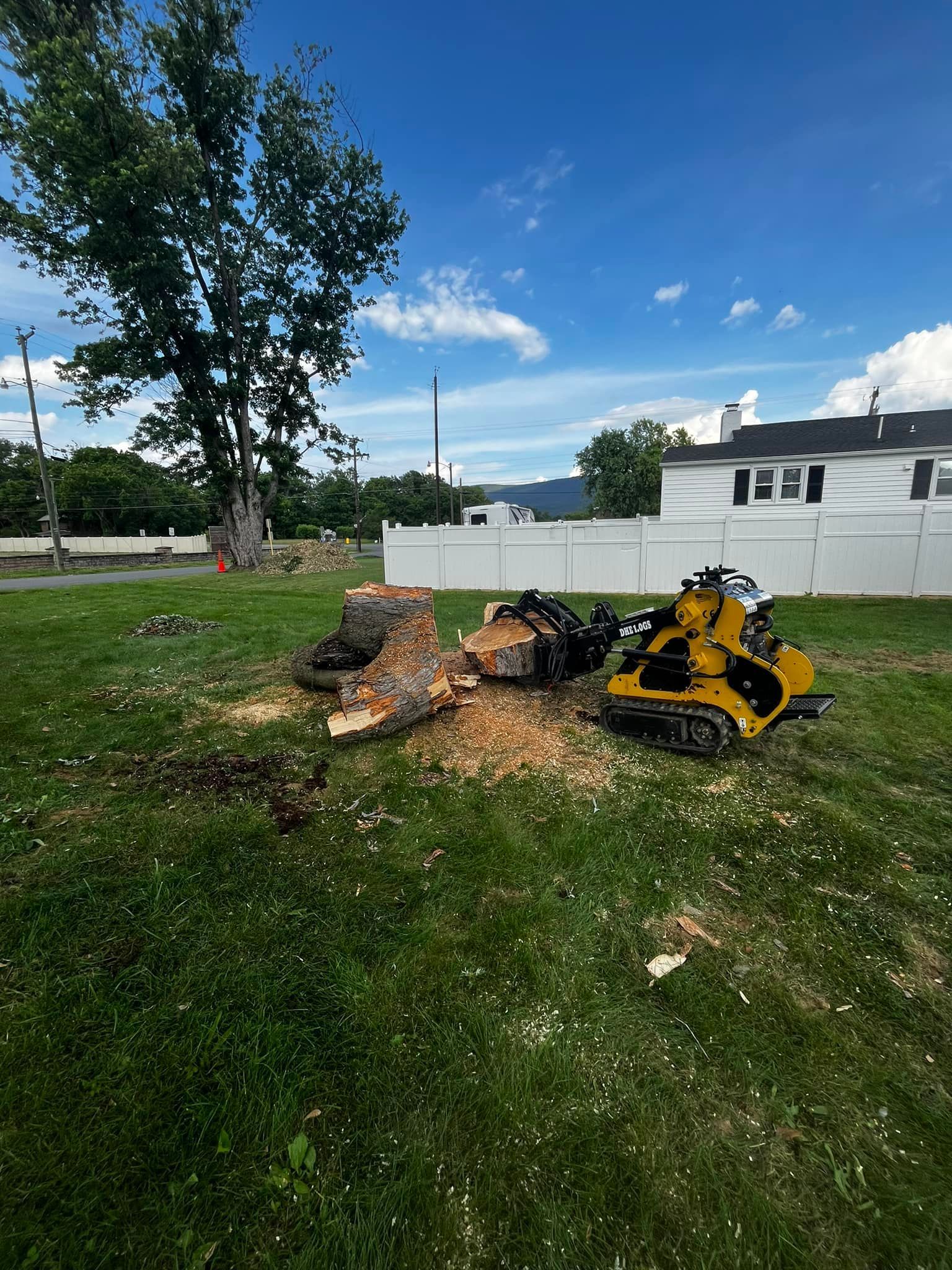 Twisted Timbers Tree Care, Shenandoah, Lexington VA, Buena vista VA, Charlottesville VA, Culpeper VA, Fredericksburg VA, Broadway VA, Grottoes VA, Massanetta Springs VA, Greenville VA, Luray, VA, Elkton, VA, Harrisonburg VA, Jollett VA, Stanley VA, Staunton VA, Comertown VA, Grove Hill VA, New Market VA, Waynesboro VA, Tenth Legion VA, Tree Removal, Tree Removal Company, Tree Removal Near Me, Emergency Tree Removal, Shenandoah Tree Removal, Waynesboro Tree Removal, Charlottesville Tree Removal, Harrisonburg Tree Removal, Lexington Tree Removal, Staunton Tree Removal, Tree Trimming, Shenandoah Tree Trimming, Waynesboro Tree Trimming, Charlottesville Tree Trimming, Harrisonburg Tree Trimming, Lexington Tree Trimming, Staunton Tree Trimming, Stump Grinding, Stump Grinding Near Me, Shenandoah Stump Grinding, Waynesboro Stump Grinding, Charlottesville Stump Grinding, Harrisonburg Stump Grinding, Lexington Stump Grinding, Staunton Stump Grinding, Lot Clearing, Lot Clearing Near Me, Shenandoah Lot Clearing, Waynesboro Lot Clearing, Charlottesville Lot Clearing, Harrisonburg Lot Clearing, Lexington Lot Clearing, Staunton Lot Clearing, Storm Damage Clean Up, Tree Risk Assessments, Tree Health Assessments