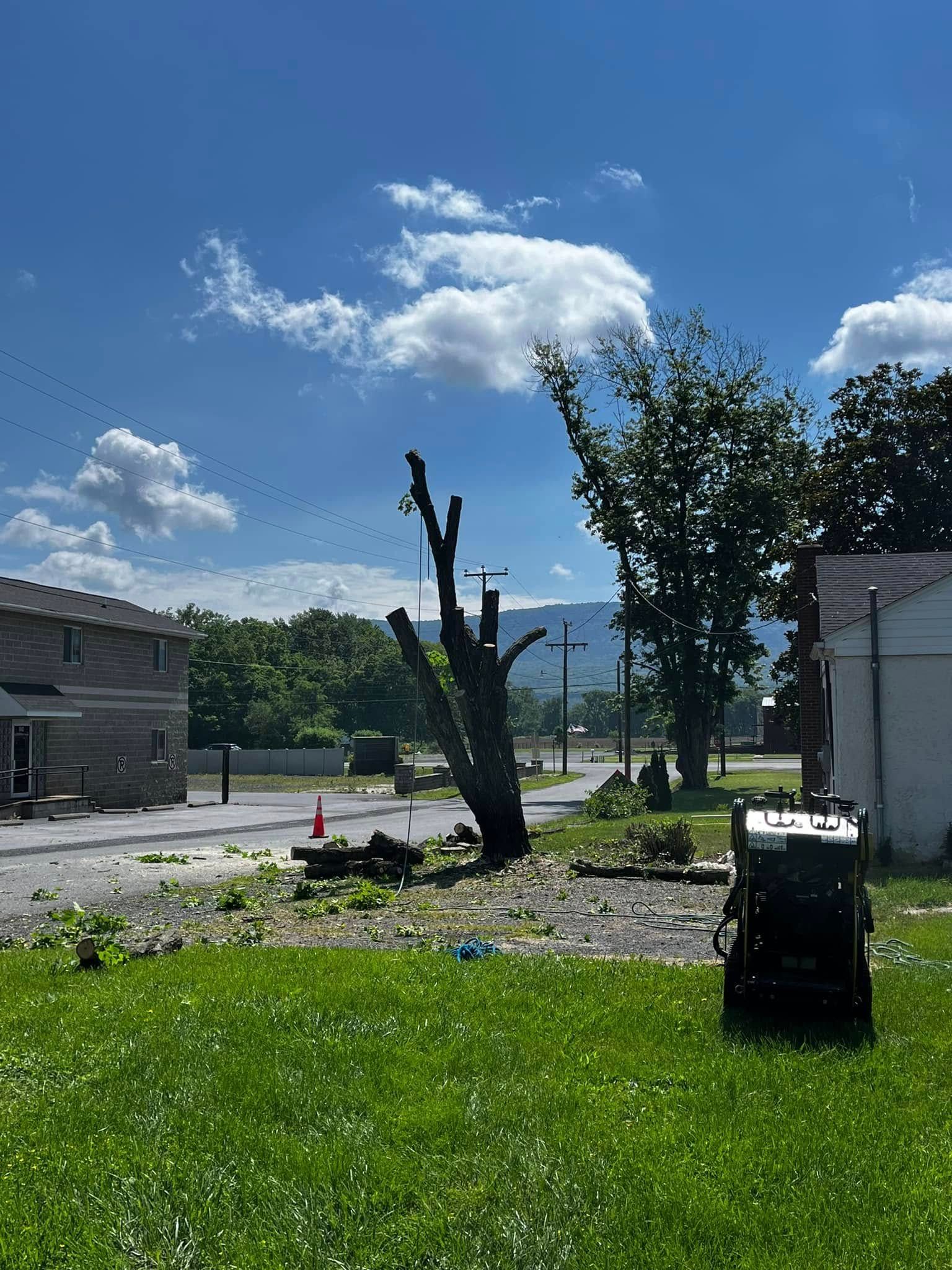 Twisted Timbers Tree Care, Shenandoah, Lexington VA, Buena vista VA, Charlottesville VA, Culpeper VA, Fredericksburg VA, Broadway VA, Grottoes VA, Massanetta Springs VA, Greenville VA, Luray, VA, Elkton, VA, Harrisonburg VA, Jollett VA, Stanley VA, Staunton VA, Comertown VA, Grove Hill VA, New Market VA, Waynesboro VA, Tenth Legion VA, Tree Removal, Tree Removal Company, Tree Removal Near Me, Emergency Tree Removal, Shenandoah Tree Removal, Waynesboro Tree Removal, Charlottesville Tree Removal, Harrisonburg Tree Removal, Lexington Tree Removal, Staunton Tree Removal, Tree Trimming, Shenandoah Tree Trimming, Waynesboro Tree Trimming, Charlottesville Tree Trimming, Harrisonburg Tree Trimming, Lexington Tree Trimming, Staunton Tree Trimming, Stump Grinding, Stump Grinding Near Me, Shenandoah Stump Grinding, Waynesboro Stump Grinding, Charlottesville Stump Grinding, Harrisonburg Stump Grinding, Lexington Stump Grinding, Staunton Stump Grinding, Lot Clearing, Lot Clearing Near Me, Shenandoah Lot Clearing, Waynesboro Lot Clearing, Charlottesville Lot Clearing, Harrisonburg Lot Clearing, Lexington Lot Clearing, Staunton Lot Clearing, Storm Damage Clean Up, Tree Risk Assessments, Tree Health Assessments