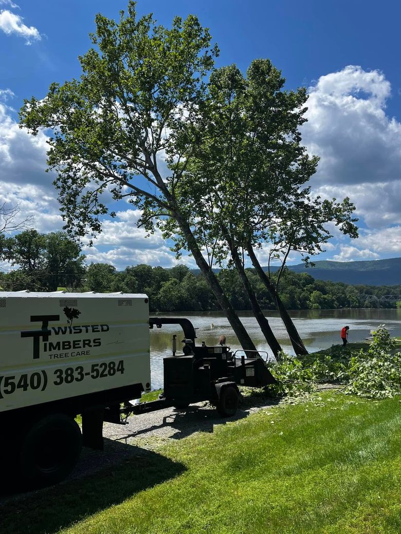 Twisted Timbers Tree Care, Shenandoah, Lexington VA, Buena vista VA, Charlottesville VA, Culpeper VA, Fredericksburg VA, Broadway VA, Grottoes VA, Massanetta Springs VA, Greenville VA, Luray, VA, Elkton, VA, Harrisonburg VA, Jollett VA, Stanley VA, Staunton VA, Comertown VA, Grove Hill VA, New Market VA, Waynesboro VA, Tenth Legion VA, Tree Removal, Tree Removal Company, Tree Removal Near Me, Emergency Tree Removal, Shenandoah Tree Removal, Waynesboro Tree Removal, Charlottesville Tree Removal, Harrisonburg Tree Removal, Lexington Tree Removal, Staunton Tree Removal, Tree Trimming, Shenandoah Tree Trimming, Waynesboro Tree Trimming, Charlottesville Tree Trimming, Harrisonburg Tree Trimming, Lexington Tree Trimming, Staunton Tree Trimming, Stump Grinding, Stump Grinding Near Me, Shenandoah Stump Grinding, Waynesboro Stump Grinding, Charlottesville Stump Grinding, Harrisonburg Stump Grinding, Lexington Stump Grinding, Staunton Stump Grinding, Lot Clearing, Lot Clearing Near Me, Shenandoah Lot Clearing, Waynesboro Lot Clearing, Charlottesville Lot Clearing, Harrisonburg Lot Clearing, Lexington Lot Clearing, Staunton Lot Clearing, Storm Damage Clean Up, Tree Risk Assessments, Tree Health Assessments