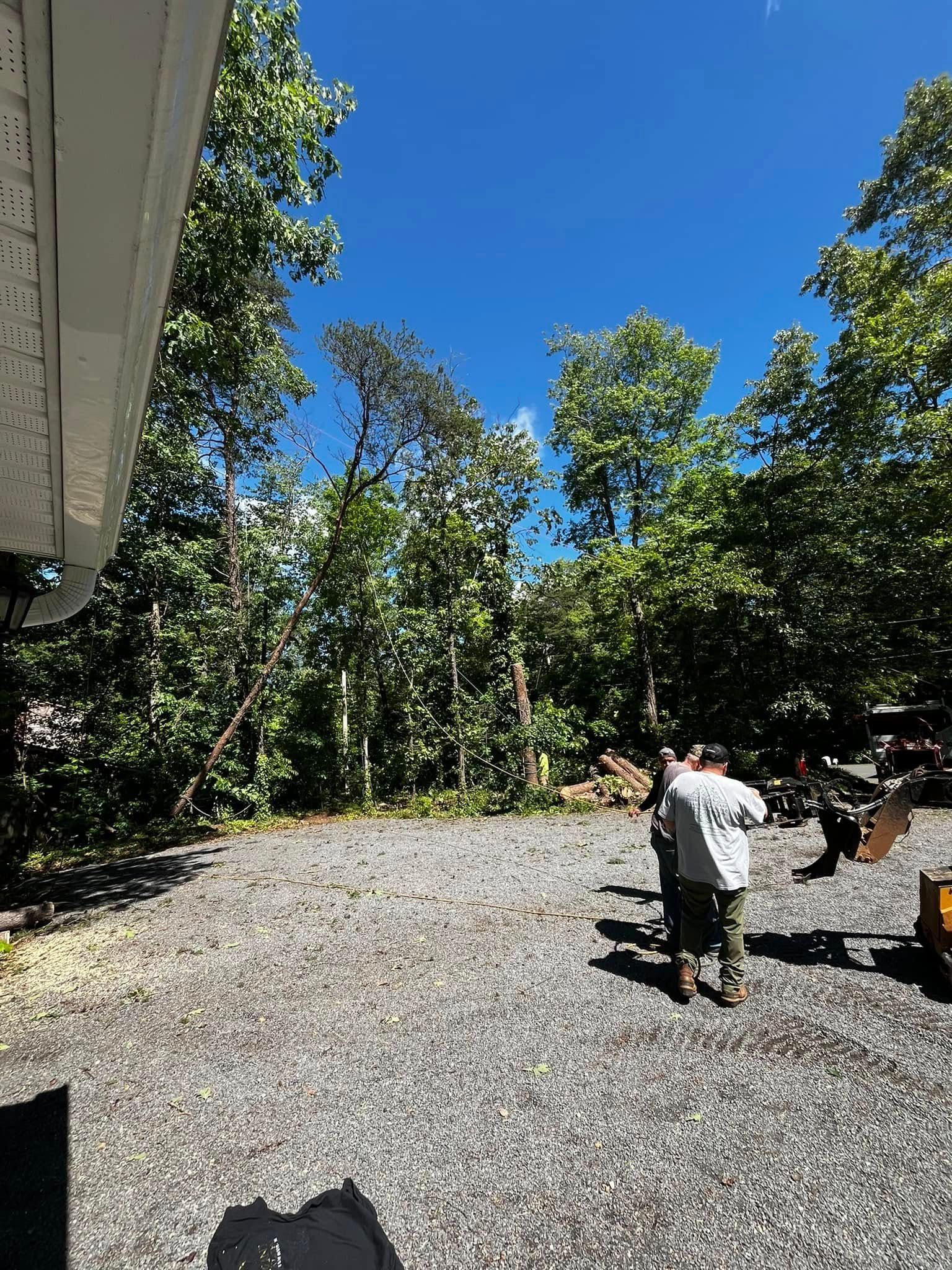 Twisted Timbers Tree Care, Shenandoah, Lexington VA, Buena vista VA, Charlottesville VA, Culpeper VA, Fredericksburg VA, Broadway VA, Grottoes VA, Massanetta Springs VA, Greenville VA, Luray, VA, Elkton, VA, Harrisonburg VA, Jollett VA, Stanley VA, Staunton VA, Comertown VA, Grove Hill VA, New Market VA, Waynesboro VA, Tenth Legion VA, Tree Removal, Tree Removal Company, Tree Removal Near Me, Emergency Tree Removal, Shenandoah Tree Removal, Waynesboro Tree Removal, Charlottesville Tree Removal, Harrisonburg Tree Removal, Lexington Tree Removal, Staunton Tree Removal, Tree Trimming, Shenandoah Tree Trimming, Waynesboro Tree Trimming, Charlottesville Tree Trimming, Harrisonburg Tree Trimming, Lexington Tree Trimming, Staunton Tree Trimming, Stump Grinding, Stump Grinding Near Me, Shenandoah Stump Grinding, Waynesboro Stump Grinding, Charlottesville Stump Grinding, Harrisonburg Stump Grinding, Lexington Stump Grinding, Staunton Stump Grinding, Lot Clearing, Lot Clearing Near Me, Shenandoah Lot Clearing, Waynesboro Lot Clearing, Charlottesville Lot Clearing, Harrisonburg Lot Clearing, Lexington Lot Clearing, Staunton Lot Clearing, Storm Damage Clean Up, Tree Risk Assessments, Tree Health Assessments