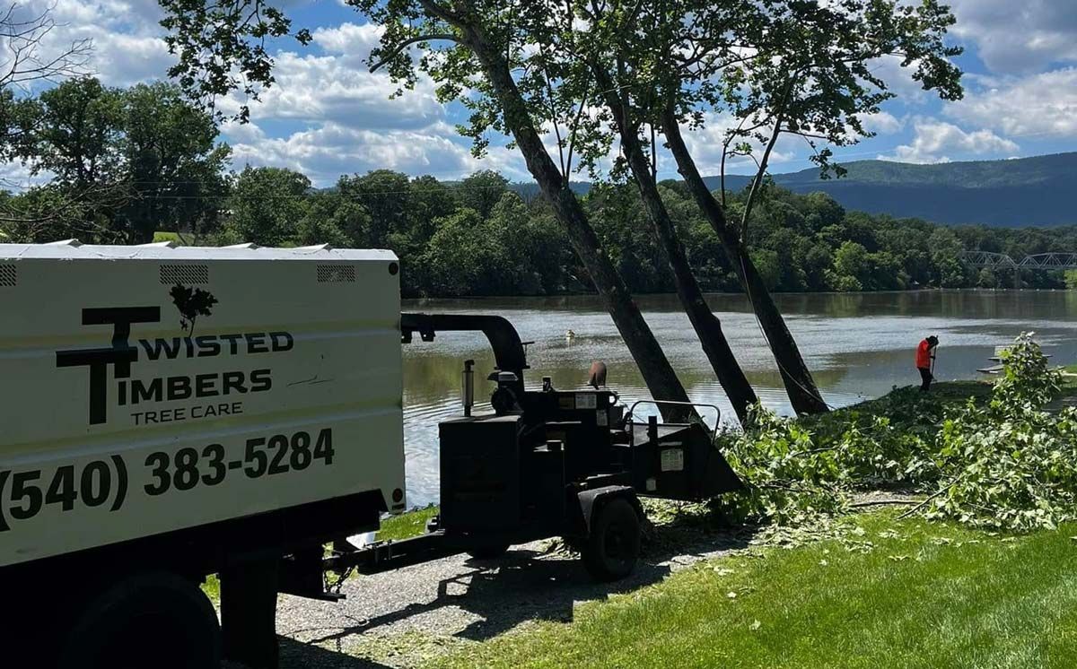 Twisted Timbers Tree Care, Shenandoah, Lexington VA, Buena vista VA, Charlottesville VA, Culpeper VA, Fredericksburg VA, Broadway VA, Grottoes VA, Massanetta Springs VA, Greenville VA, Luray, VA, Elkton, VA, Harrisonburg VA, Jollett VA, Stanley VA, Staunton VA, Comertown VA, Grove Hill VA, New Market VA, Waynesboro VA, Tenth Legion VA, Tree Removal, Tree Removal Company, Tree Removal Near Me, Emergency Tree Removal, Shenandoah Tree Removal, Waynesboro Tree Removal, Charlottesville Tree Removal, Harrisonburg Tree Removal, Lexington Tree Removal, Staunton Tree Removal, Tree Trimming, Shenandoah Tree Trimming, Waynesboro Tree Trimming, Charlottesville Tree Trimming, Harrisonburg Tree Trimming, Lexington Tree Trimming, Staunton Tree Trimming, Stump Grinding, Stump Grinding Near Me, Shenandoah Stump Grinding, Waynesboro Stump Grinding, Charlottesville Stump Grinding, Harrisonburg Stump Grinding, Lexington Stump Grinding, Staunton Stump Grinding, Lot Clearing, Lot Clearing Near Me, Shenandoah Lot Clearing, Waynesboro Lot Clearing, Charlottesville Lot Clearing, Harrisonburg Lot Clearing, Lexington Lot Clearing, Staunton Lot Clearing, Storm Damage Clean Up, Tree Risk Assessments, Tree Health Assessments
