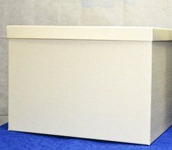 Scatola bianca da regalo