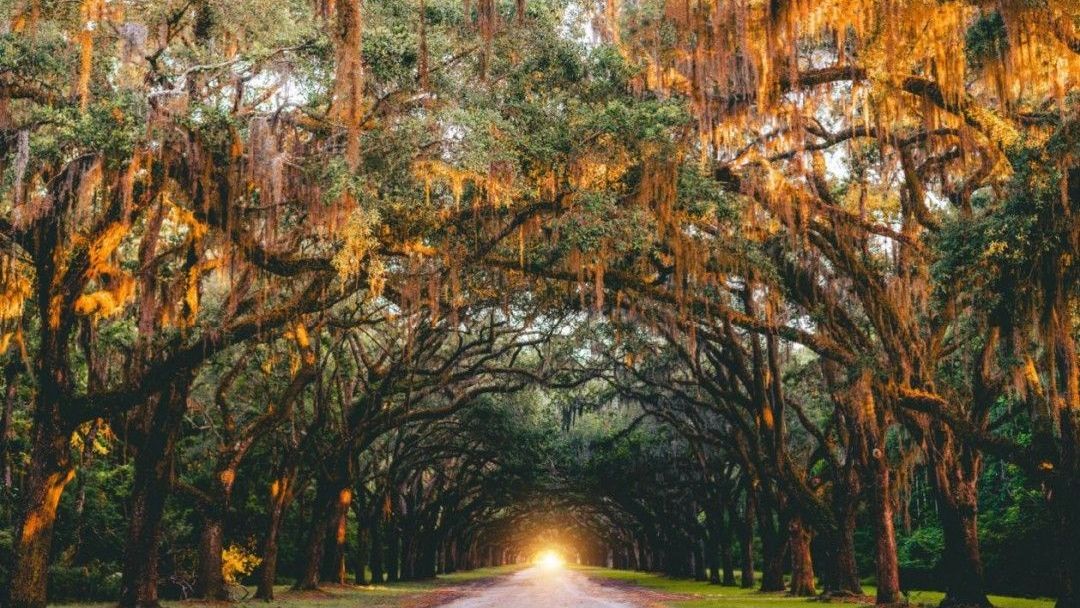funeral homes in Acworth, GA