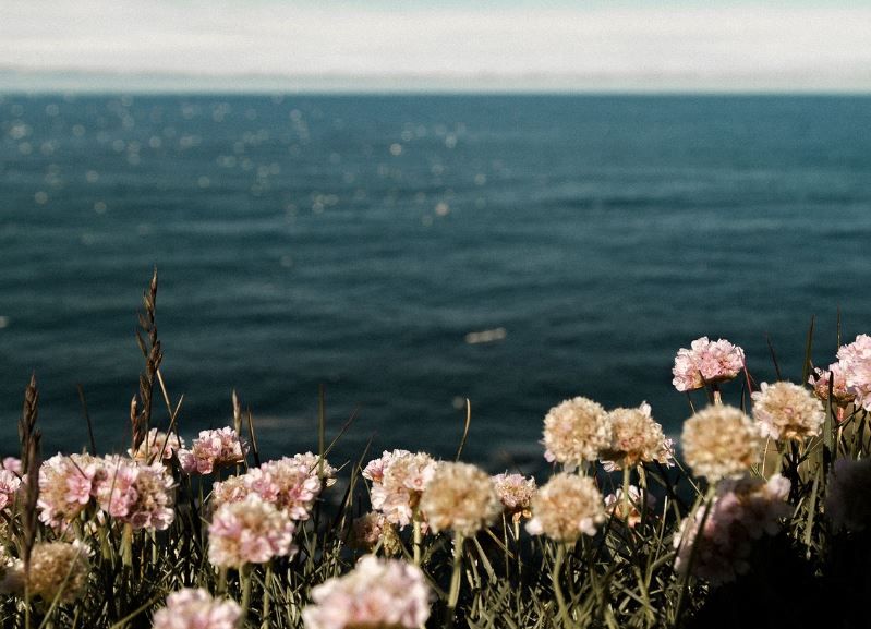 cremation services in Acworth, GA