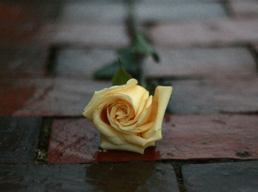 funeral homes Acworth, GA