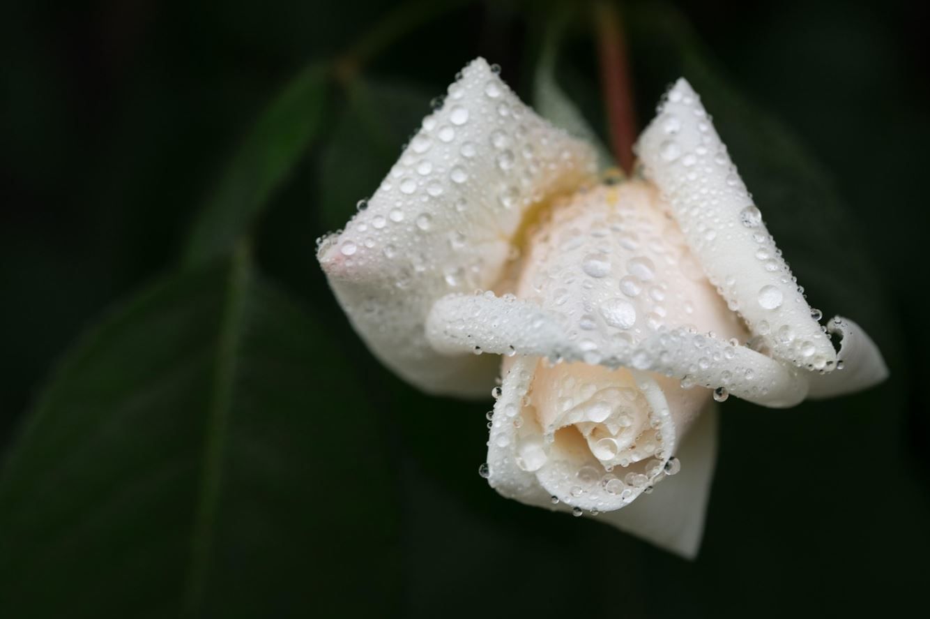 funeral homes Kennesaw, GA