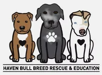 animal logo design