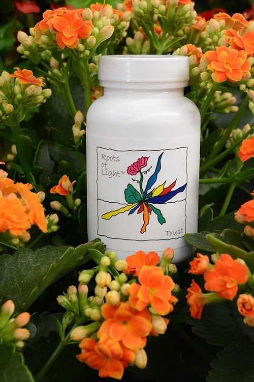 label packaging and design