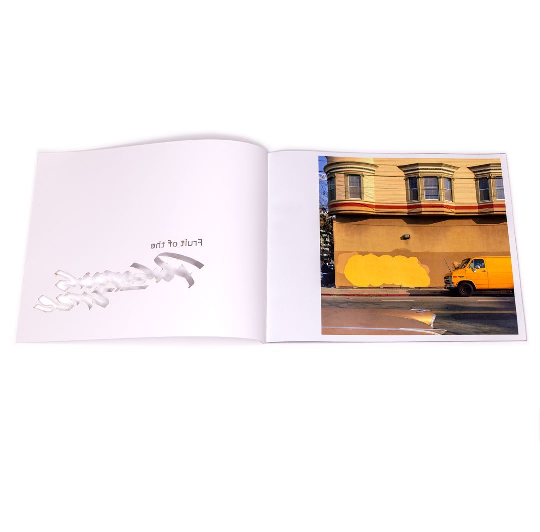 JURNE - Fruit of the Poisonous Tree - Limited Zine