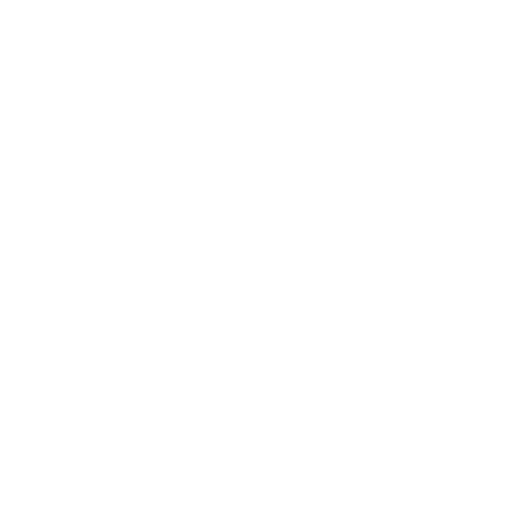Shayna Fearn Photography Logo