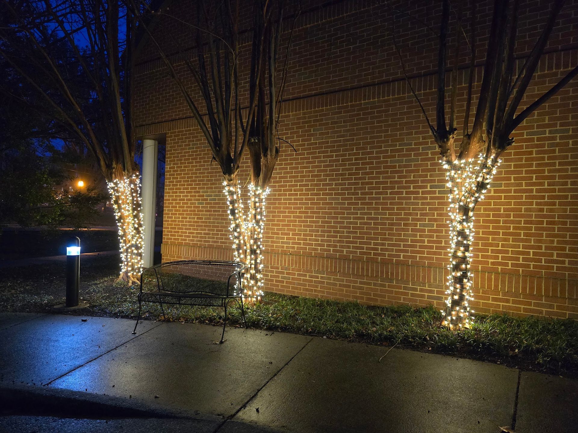 Trees wrapped with white lights next to a brick building. Wet pavement reflects the lights at night.