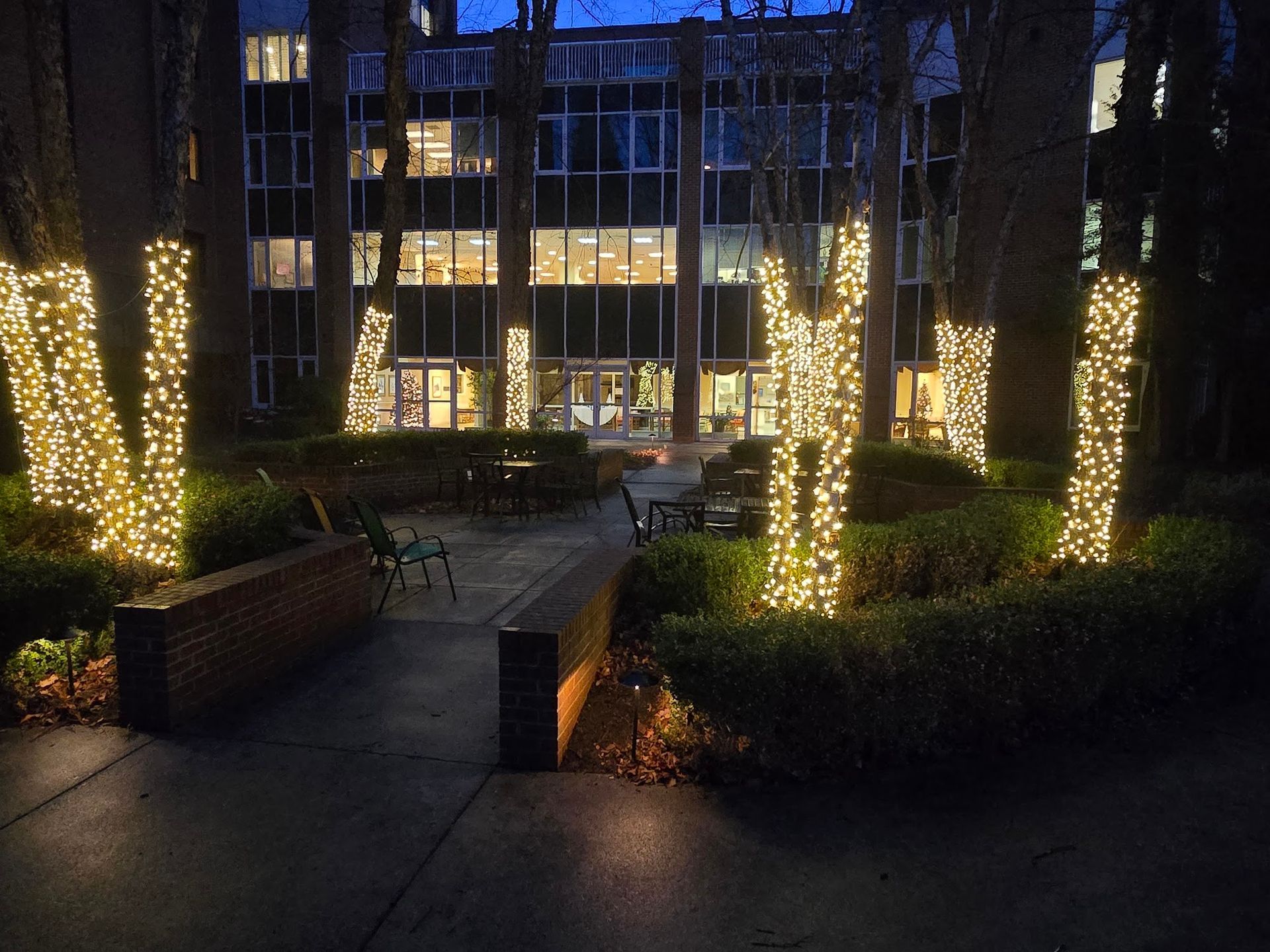 Building exterior at night with trees wrapped in golden lights, a patio with chairs and bushes.