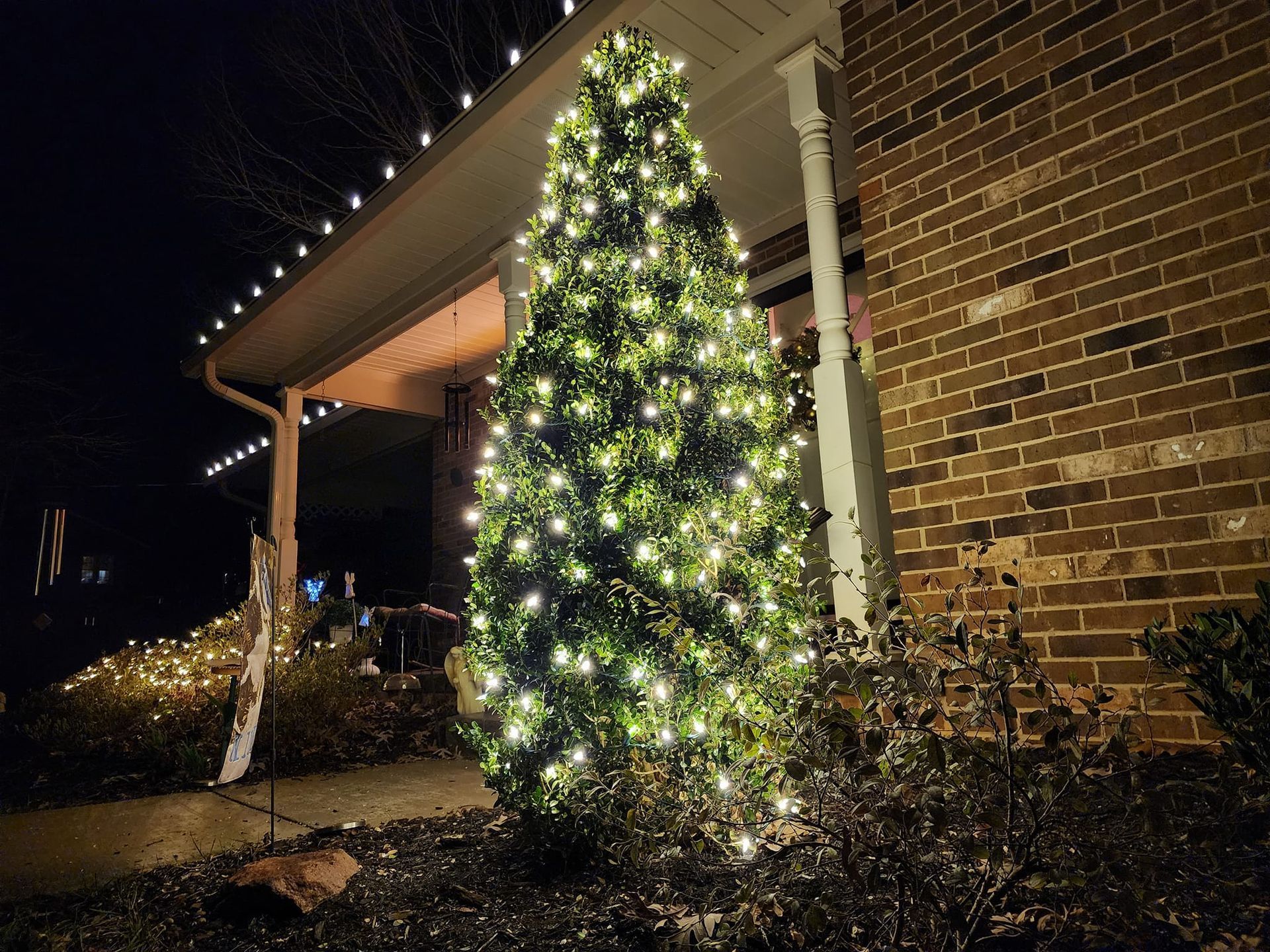 A lighted evergreen bush with Christmas lights sits by a brick house at night.
