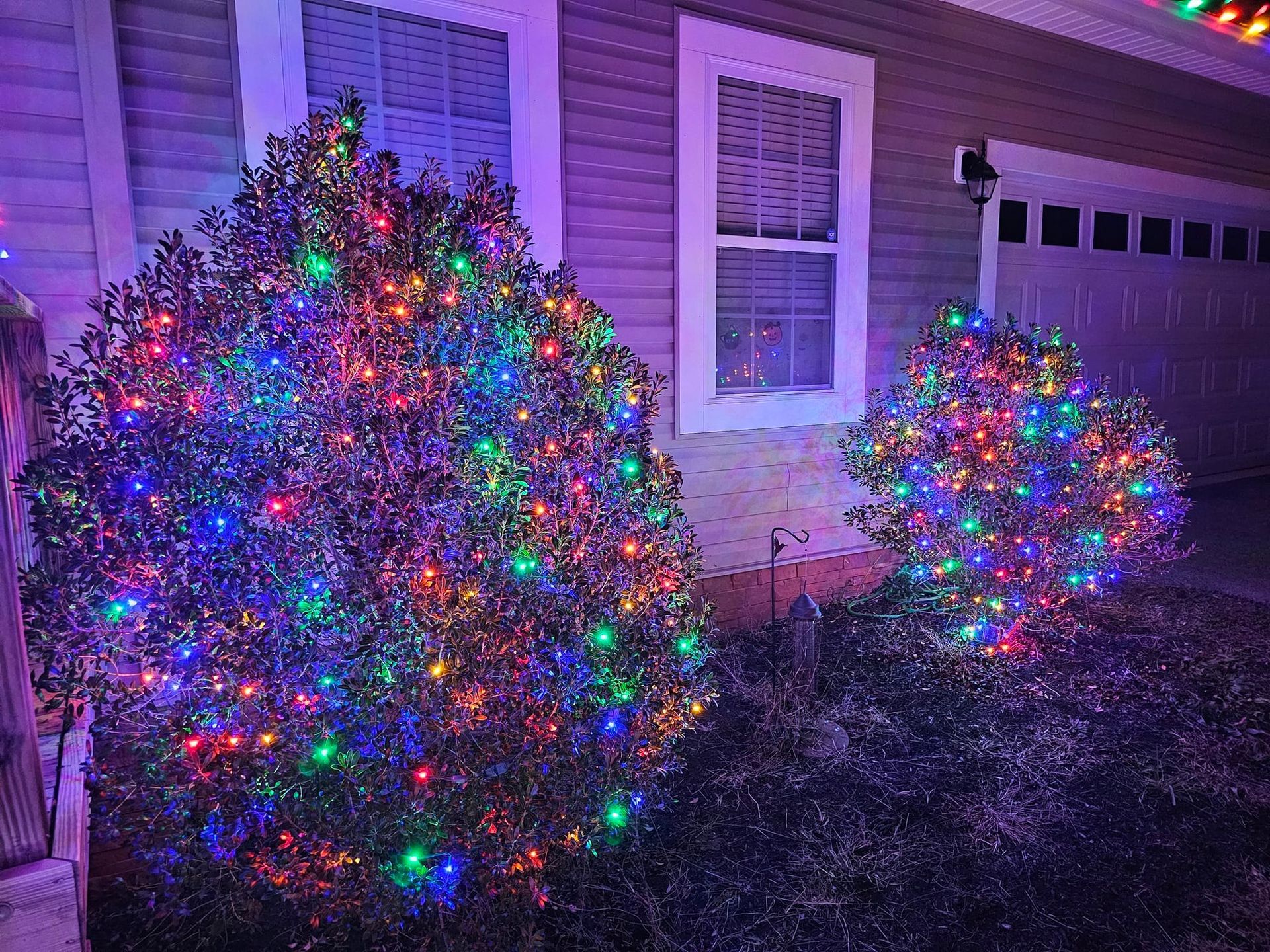 Bushes decorated with colorful Christmas lights in front of a house at night.