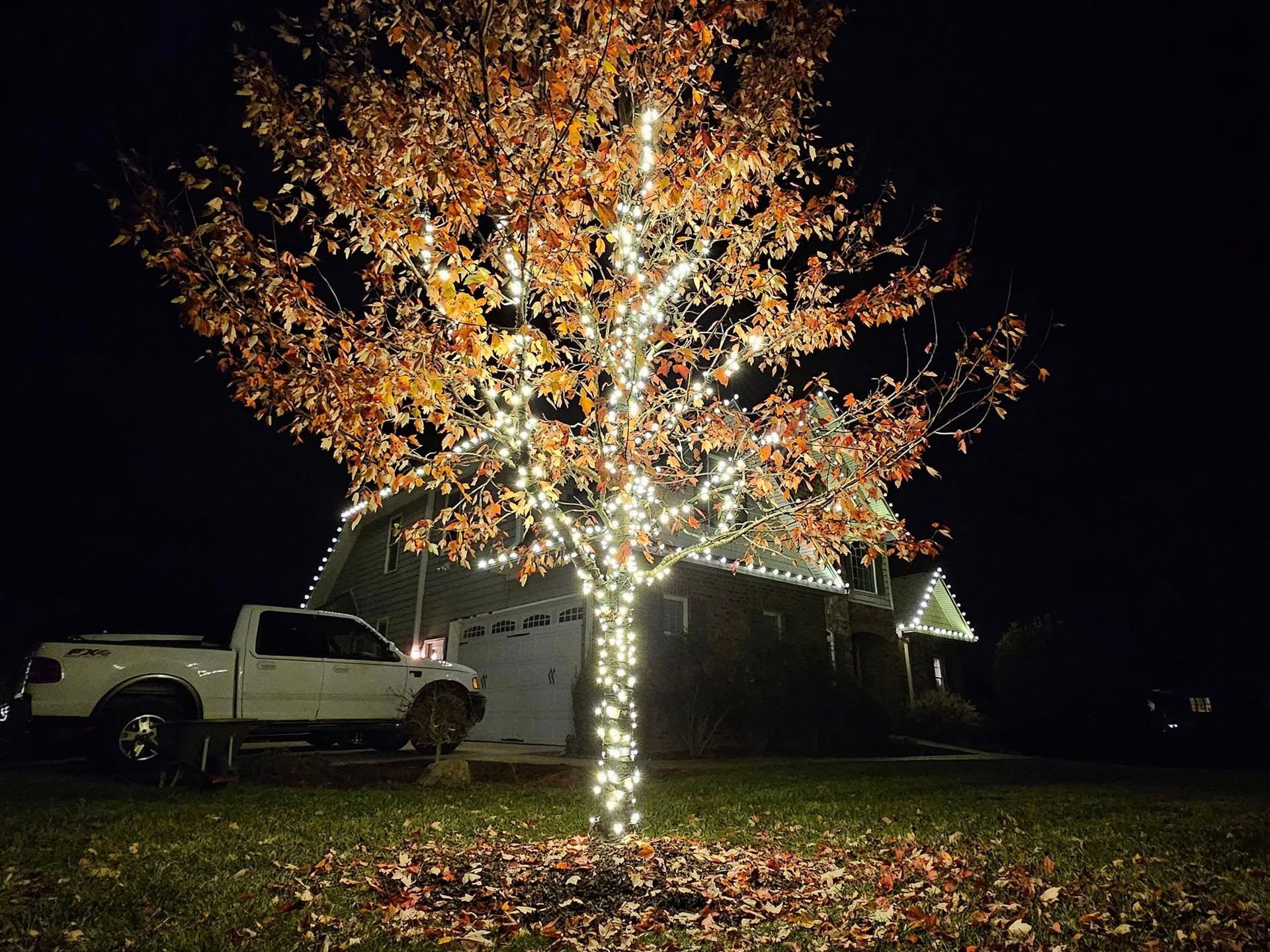 A tree wrapped in white lights stands in front of a house, a white pickup truck parked nearby at night.