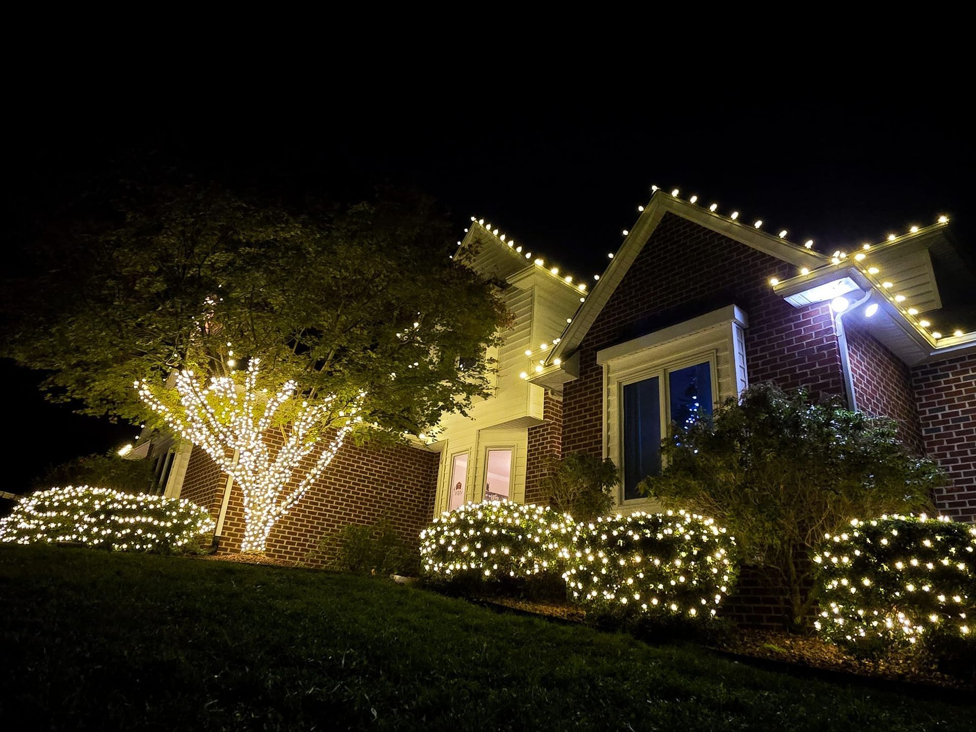 House and bushes illuminated by twinkling white Christmas lights at night.