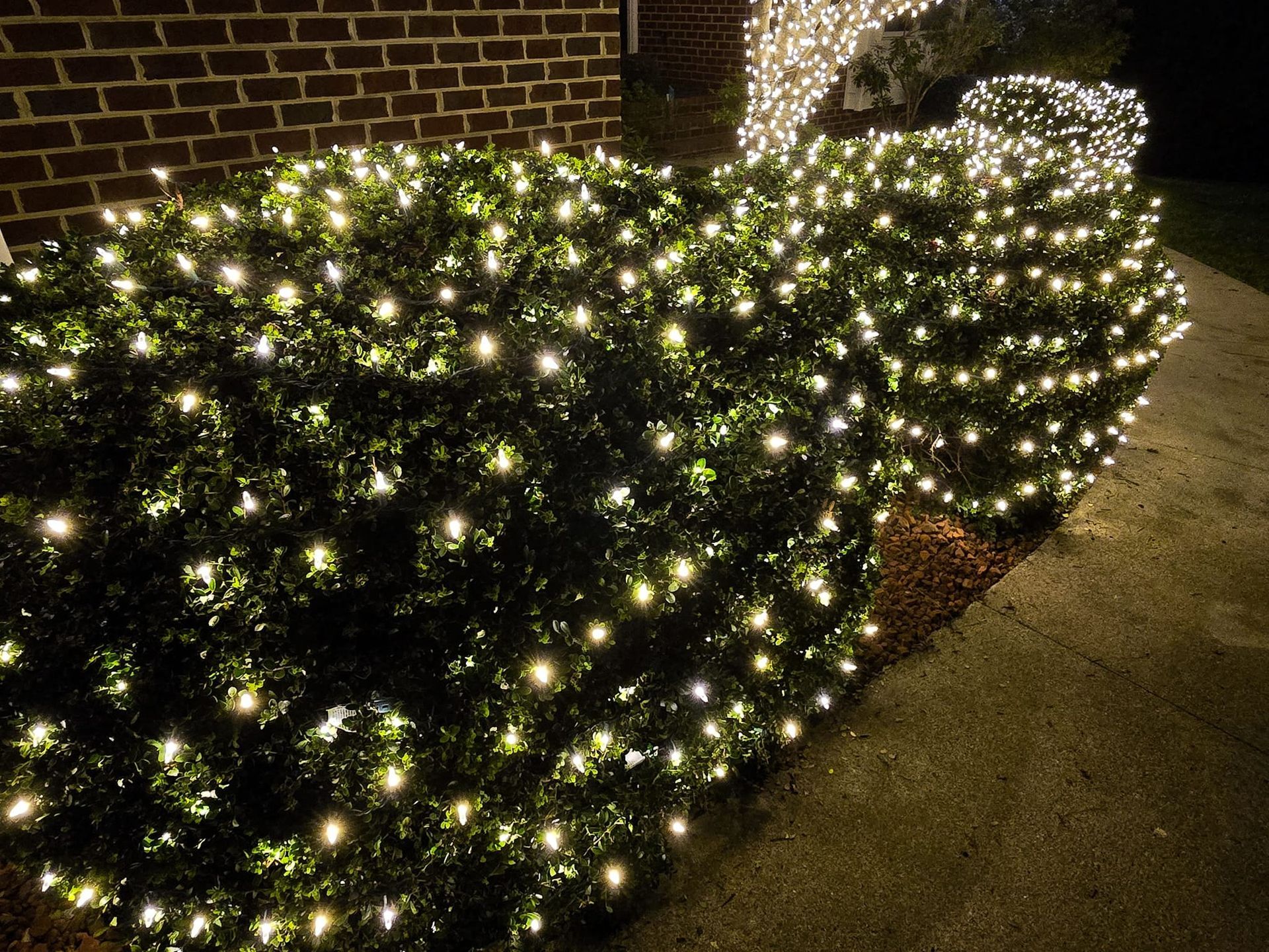 Green bushes covered in warm white Christmas lights next to a brick building at night.