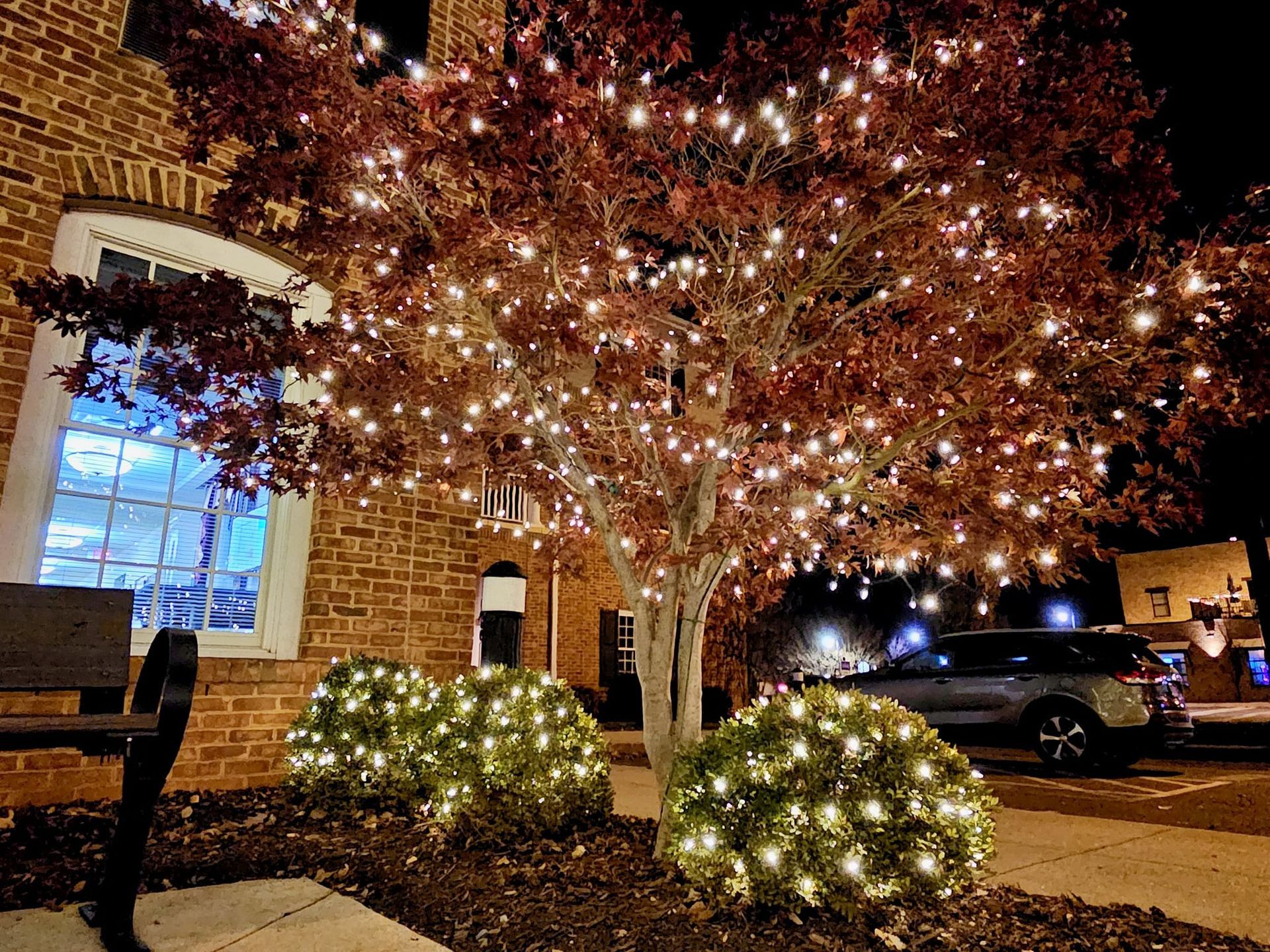 A tree and bushes with white holiday lights in front of a brick building at night. A car is parked nearby.