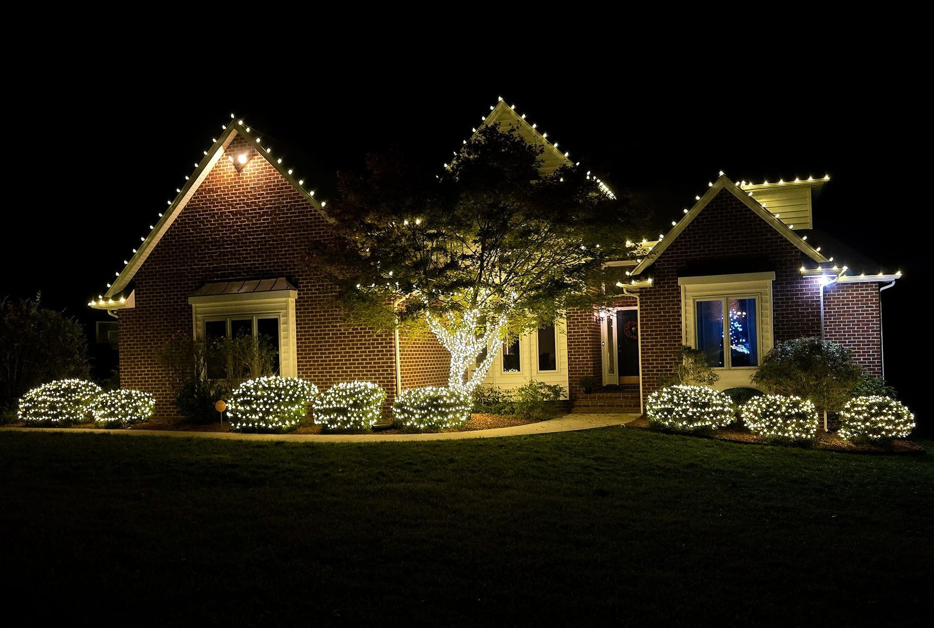House decorated with white Christmas lights; bushes and tree also lit.