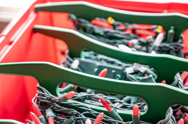 Red sandstone canyon walls, rippled textures, bathed in sunlight.