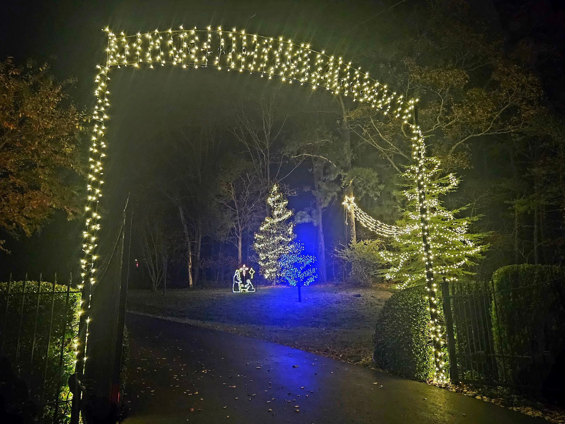 Entrance archway and trees illuminated with white Christmas lights at night.