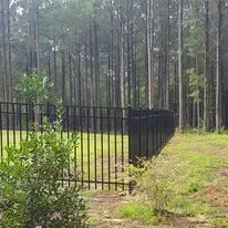 A metal fence surrounds a field in the middle of a forest.