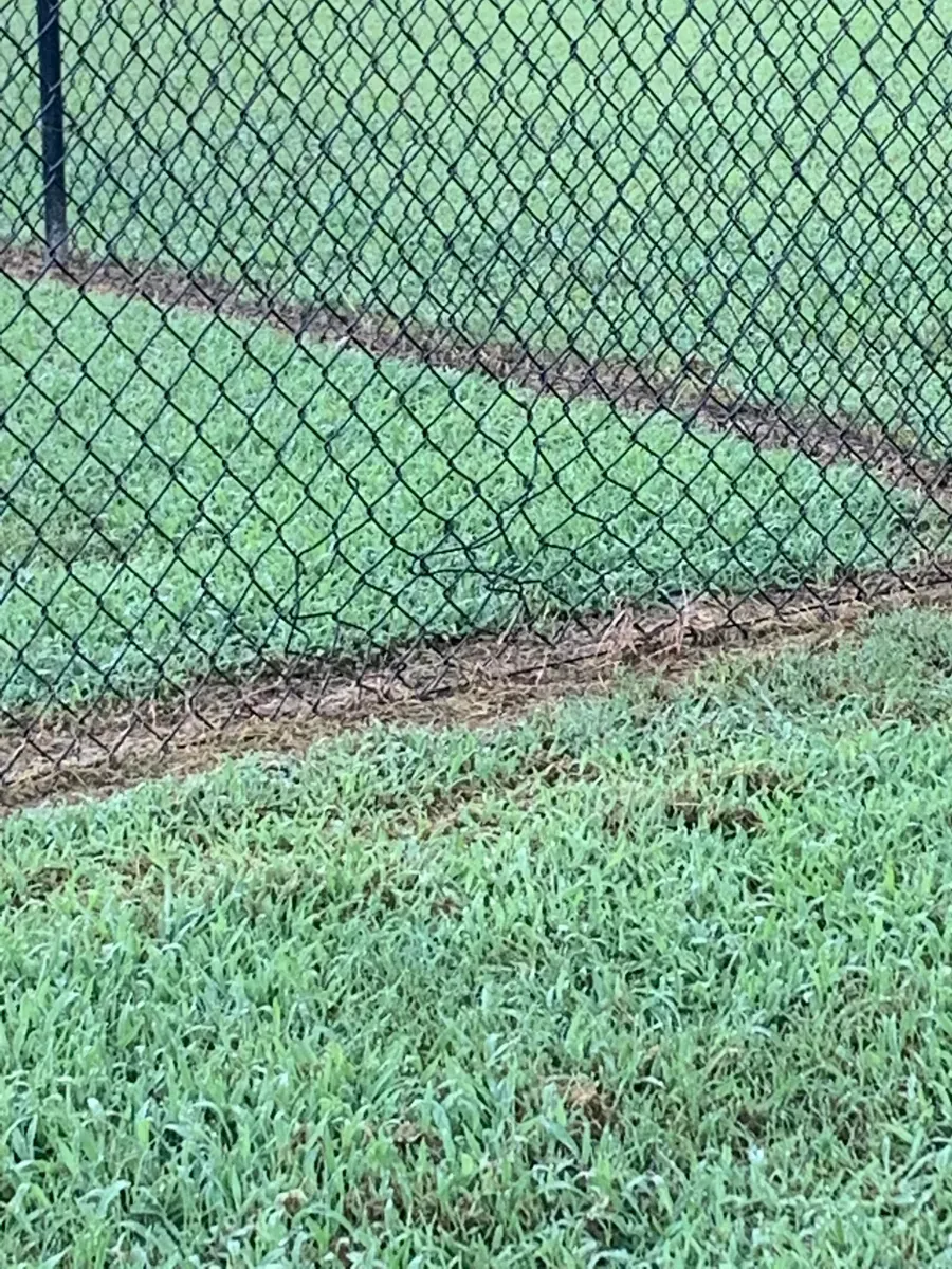 A chain link fence surrounds a lush green field.
