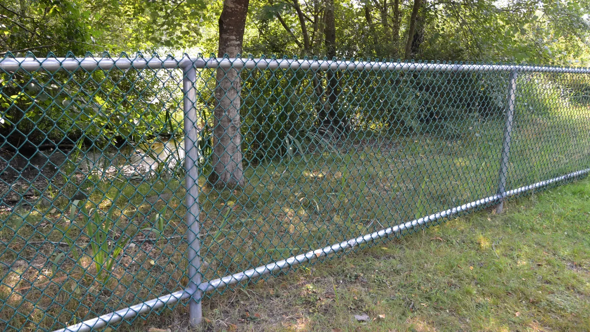 A chain link fence surrounds a grassy area with trees in the background.