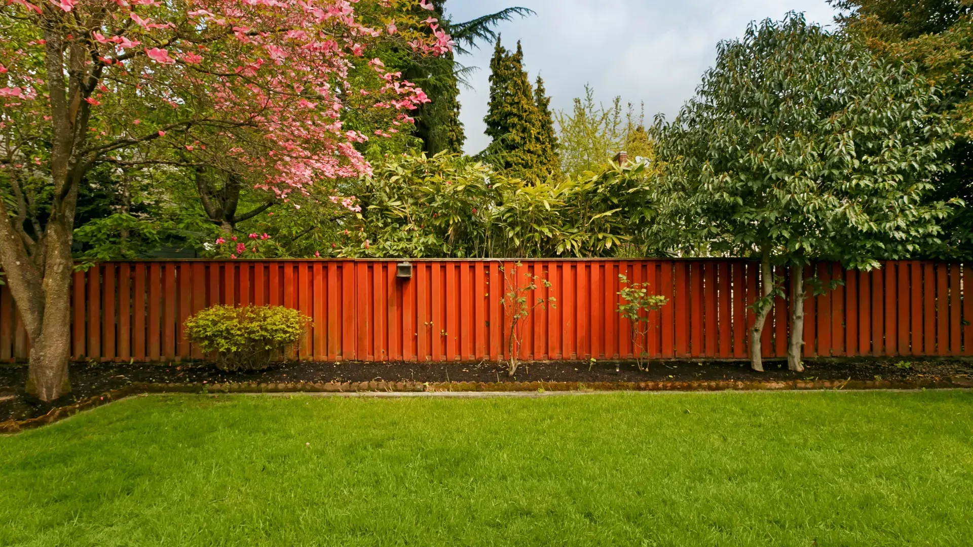 A backyard with a red wooden fence and trees