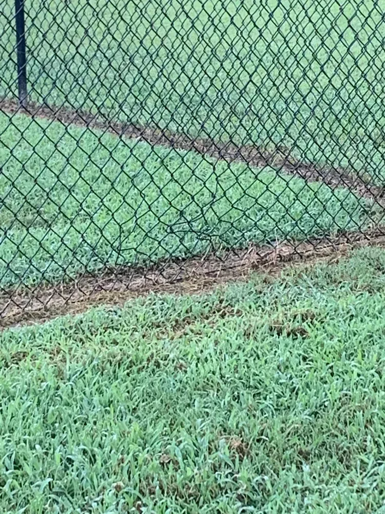 A chain link fence surrounds a lush green field.