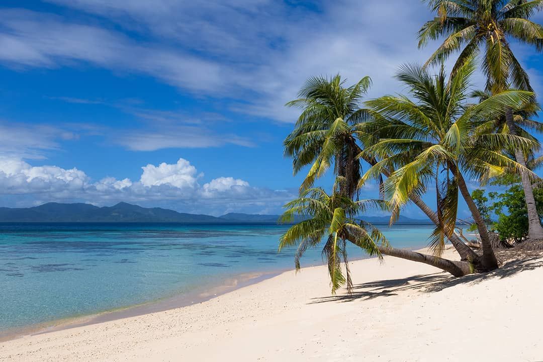 A tropical beach with palm trees and mountains in the background.
