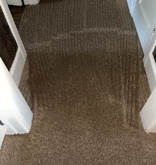 An Image of Carpet Cleaning in Parma, OH