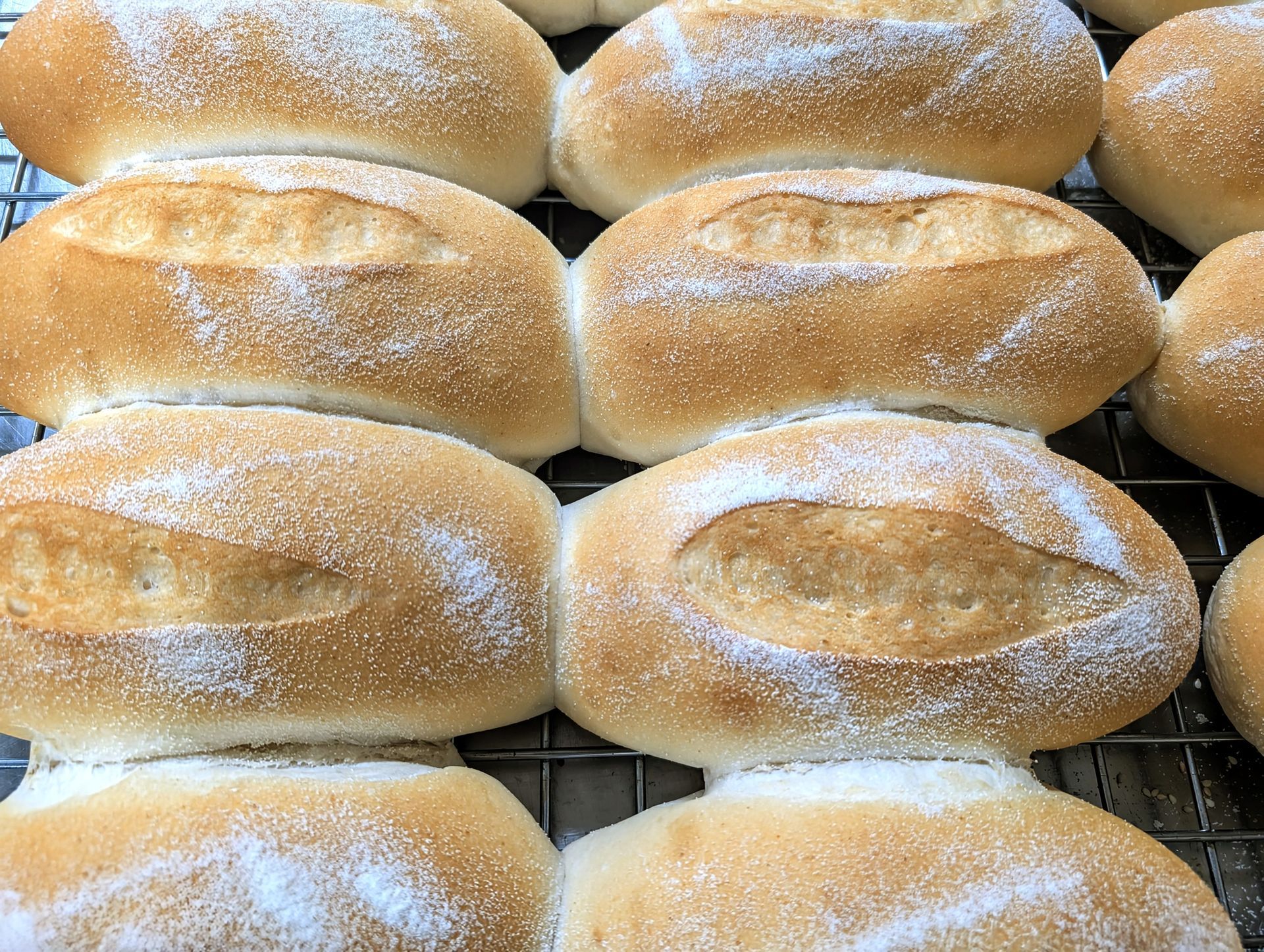 A fresh batch of warm baked bread rolls