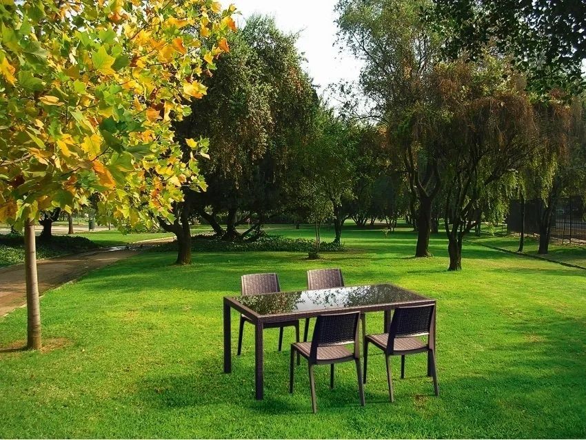 A Table and Chairs in a Park With Trees in the Background — Creative Commercial Furniture in Cairns City, QLD 