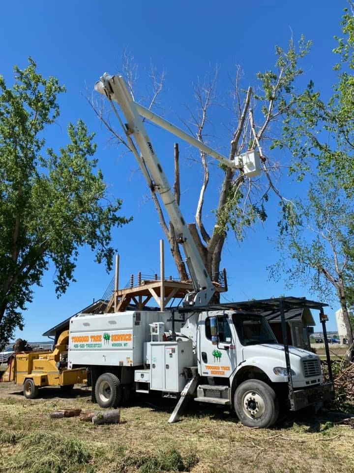 Tree Removal #9 — Worden, MT — Toogood Tree Service