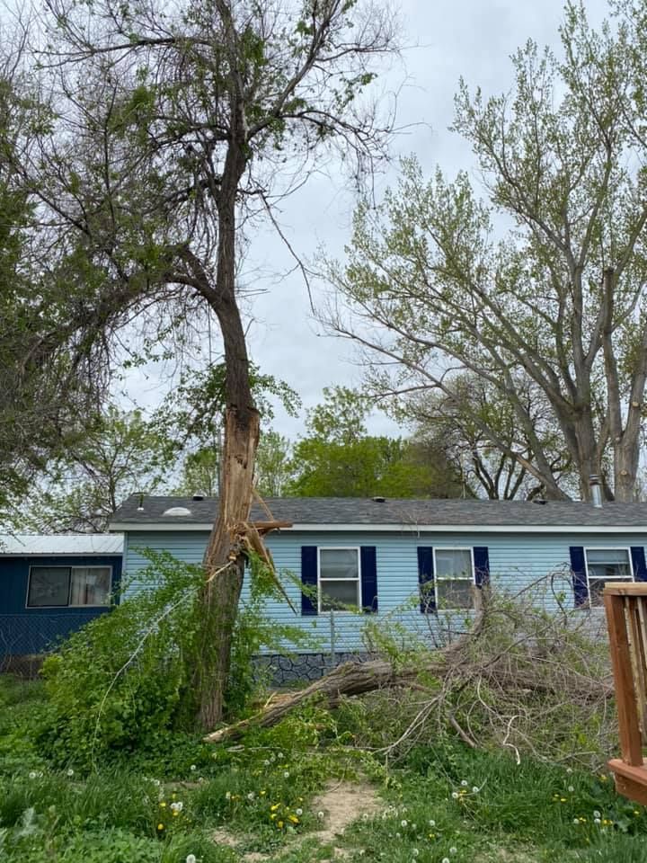 Tree Removal #18 — Worden, MT — Toogood Tree Service