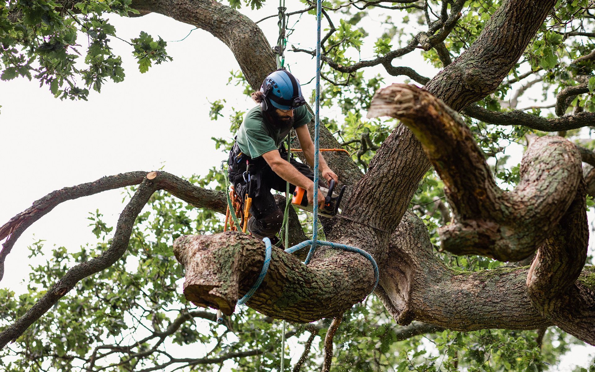 Man Removing Tree — Worden, MT — Toogood Tree Service